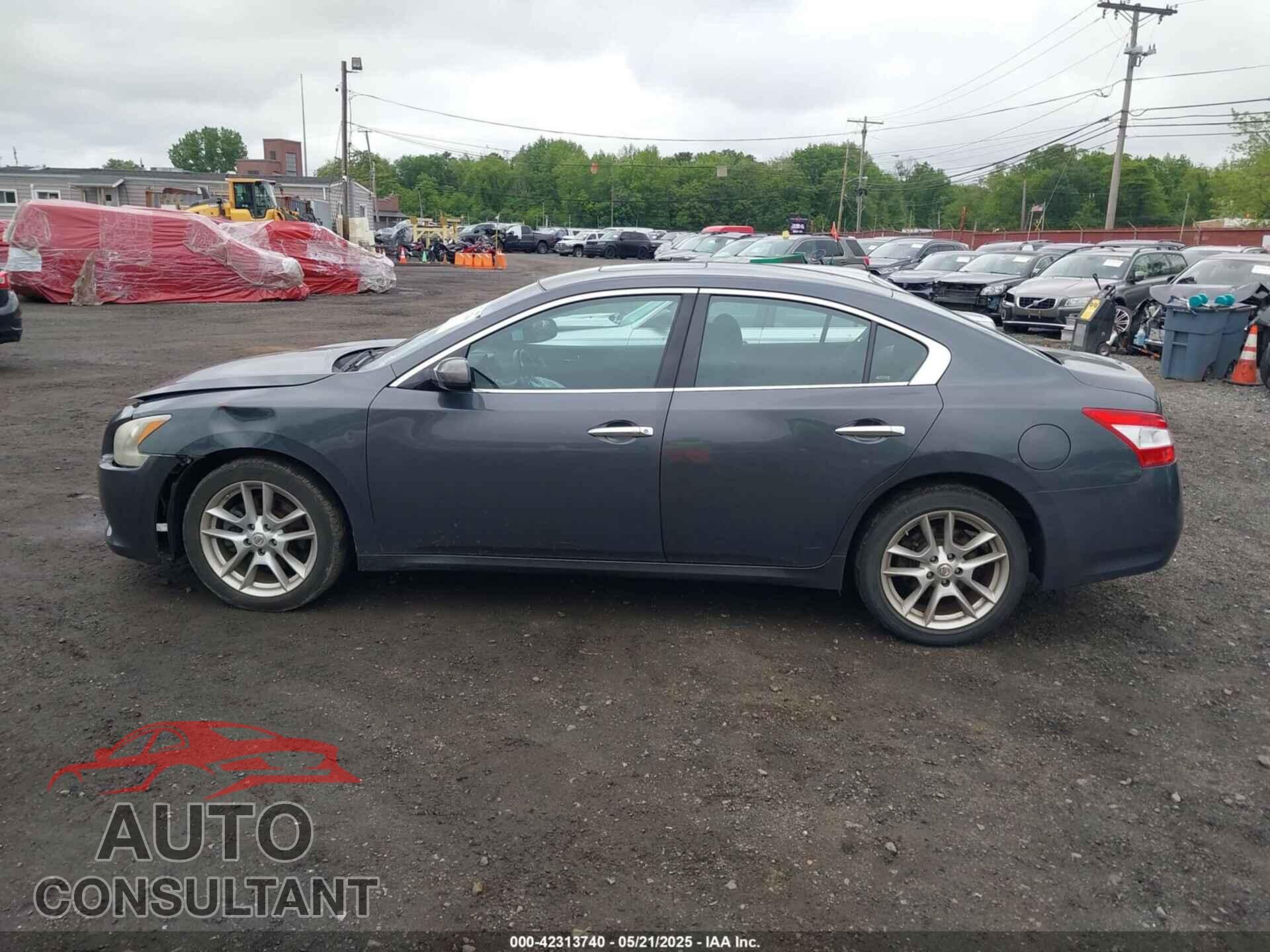 NISSAN MAXIMA 2011 - 1N4AA5AP1BC807662