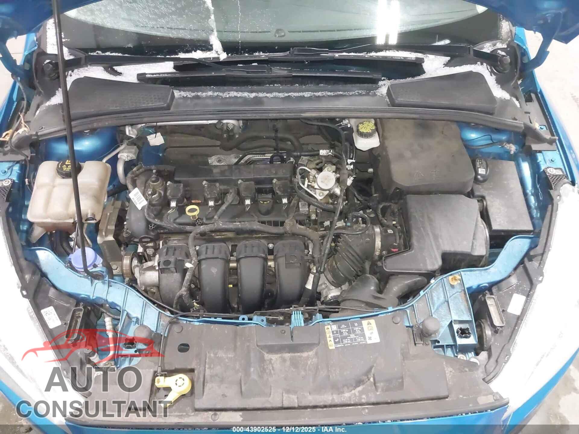 FORD FOCUS 2017 - 1FADP3K26HL244166