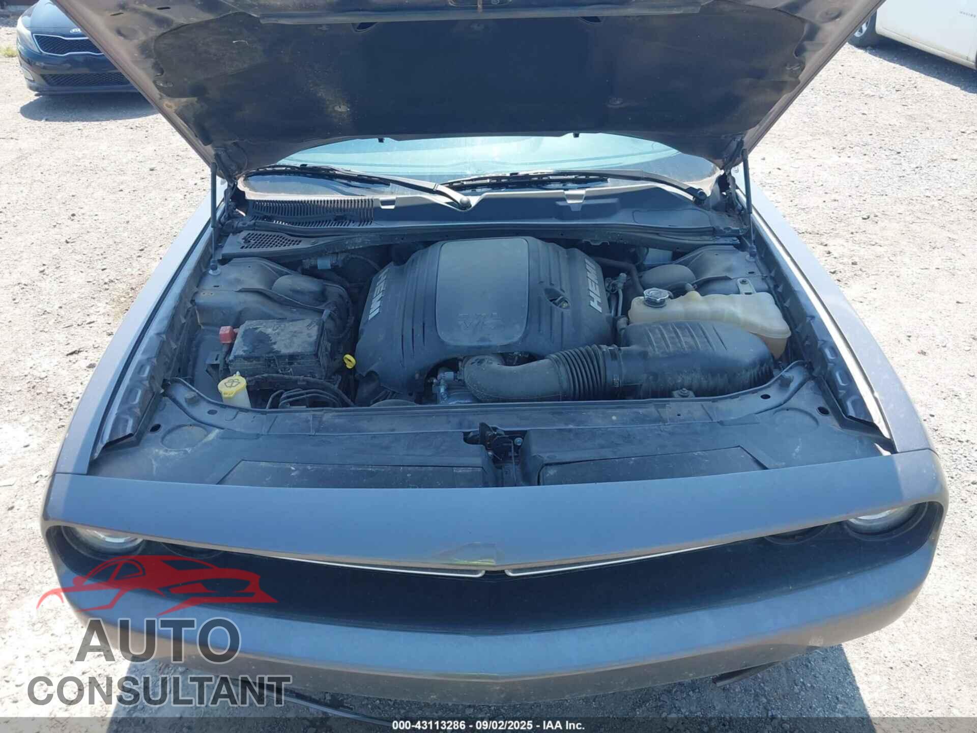 DODGE CHALLENGER 2019 - 2C3CDZBT7KH651920