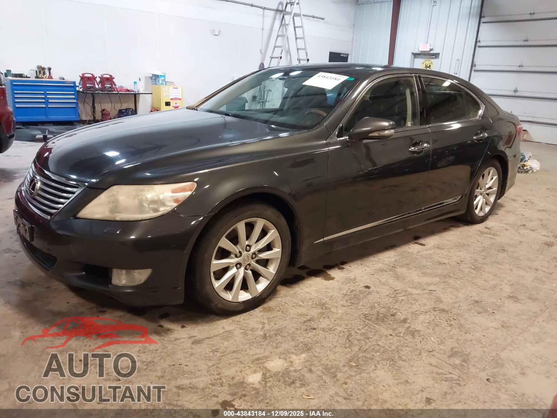 LEXUS LS 460 2011 - JTHCL5EF1B5012144
