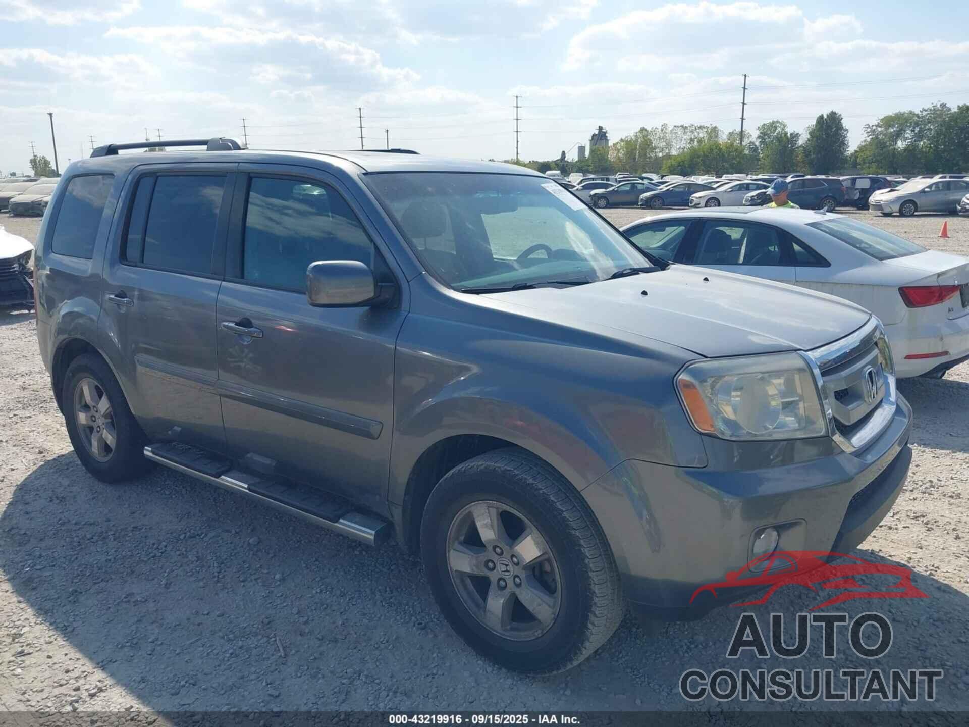 HONDA PILOT 2009 - 5FNYF48559B052361