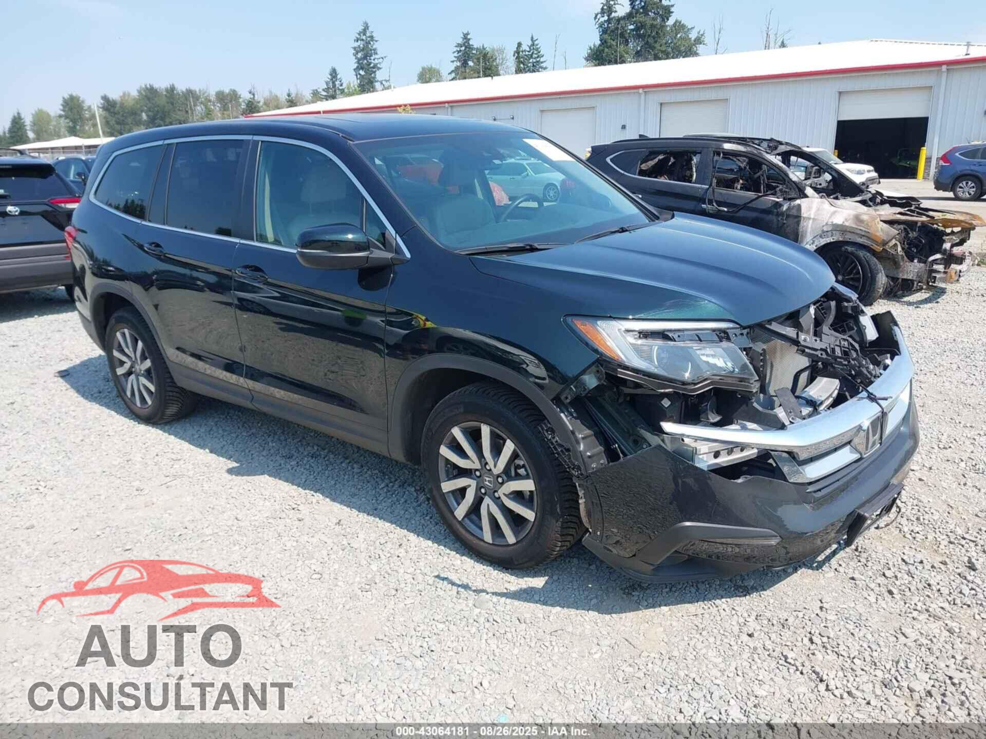 HONDA PILOT 2019 - 5FNYF6H54KB036802