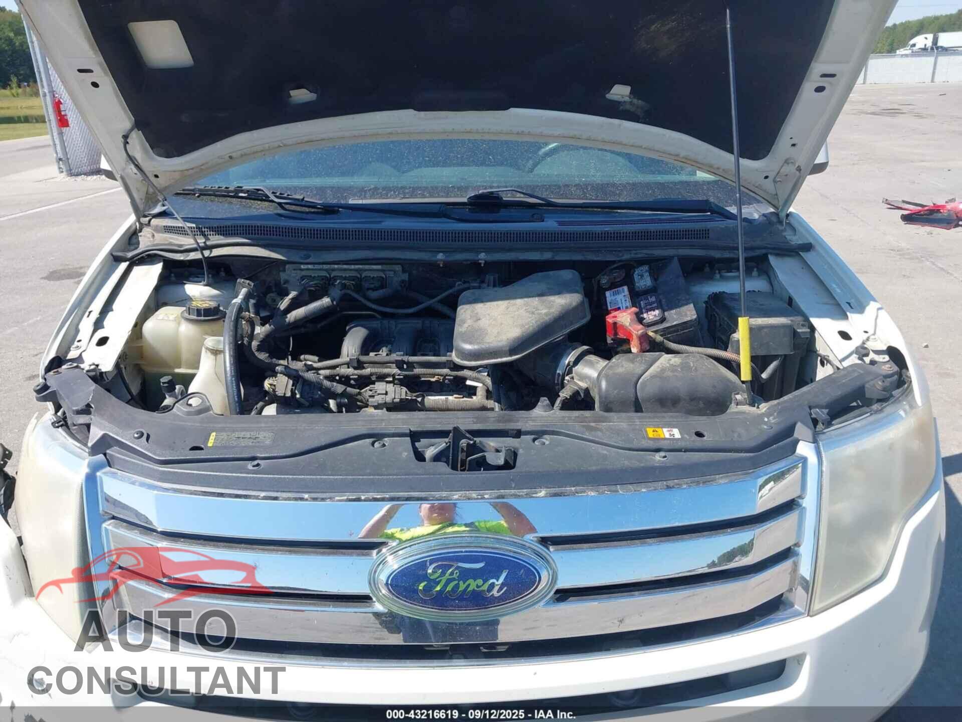 FORD EDGE 2009 - 2FMDK49C69BB03401