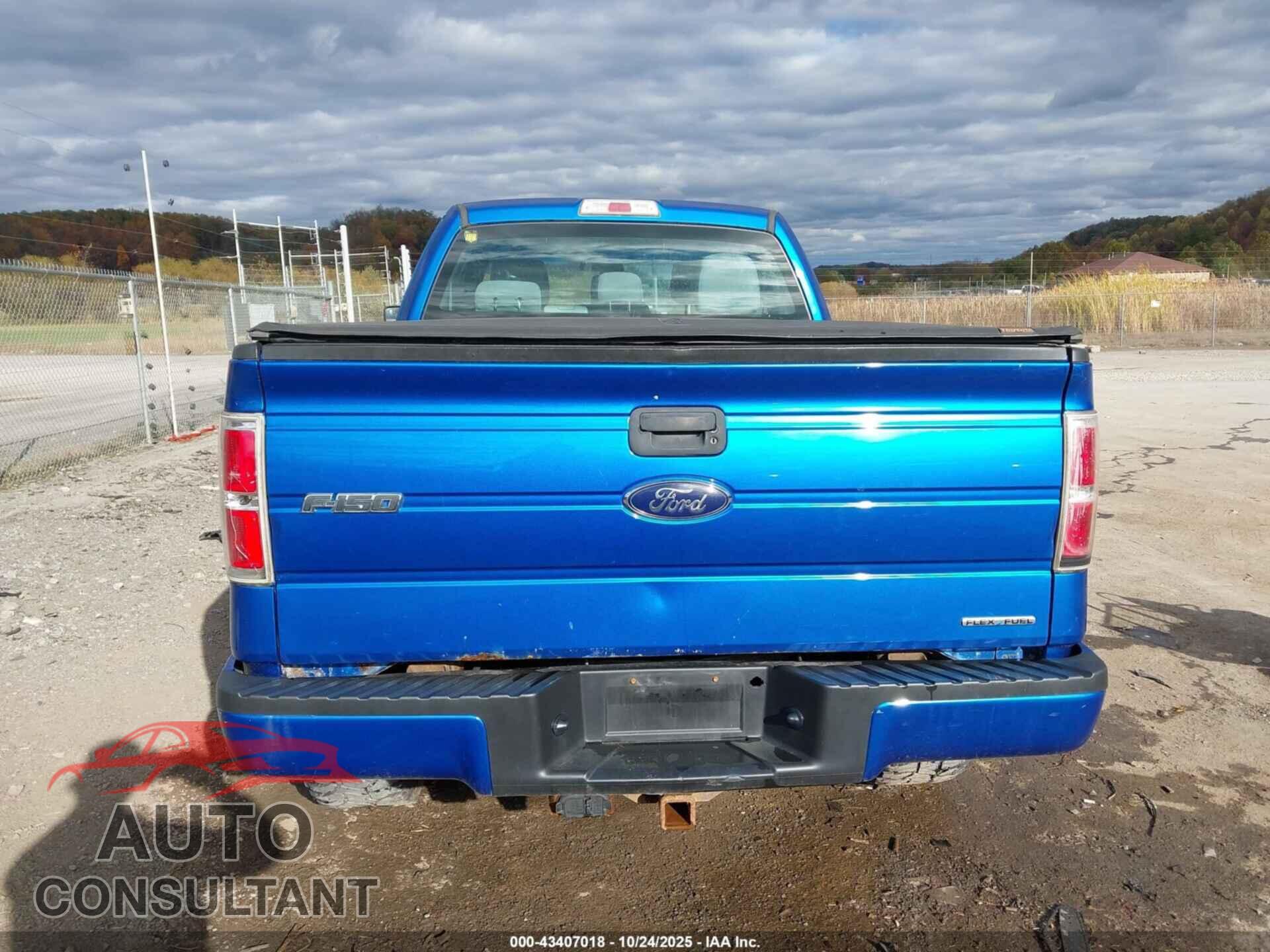 FORD F-150 2013 - 1FTFX1EF2DFD70202