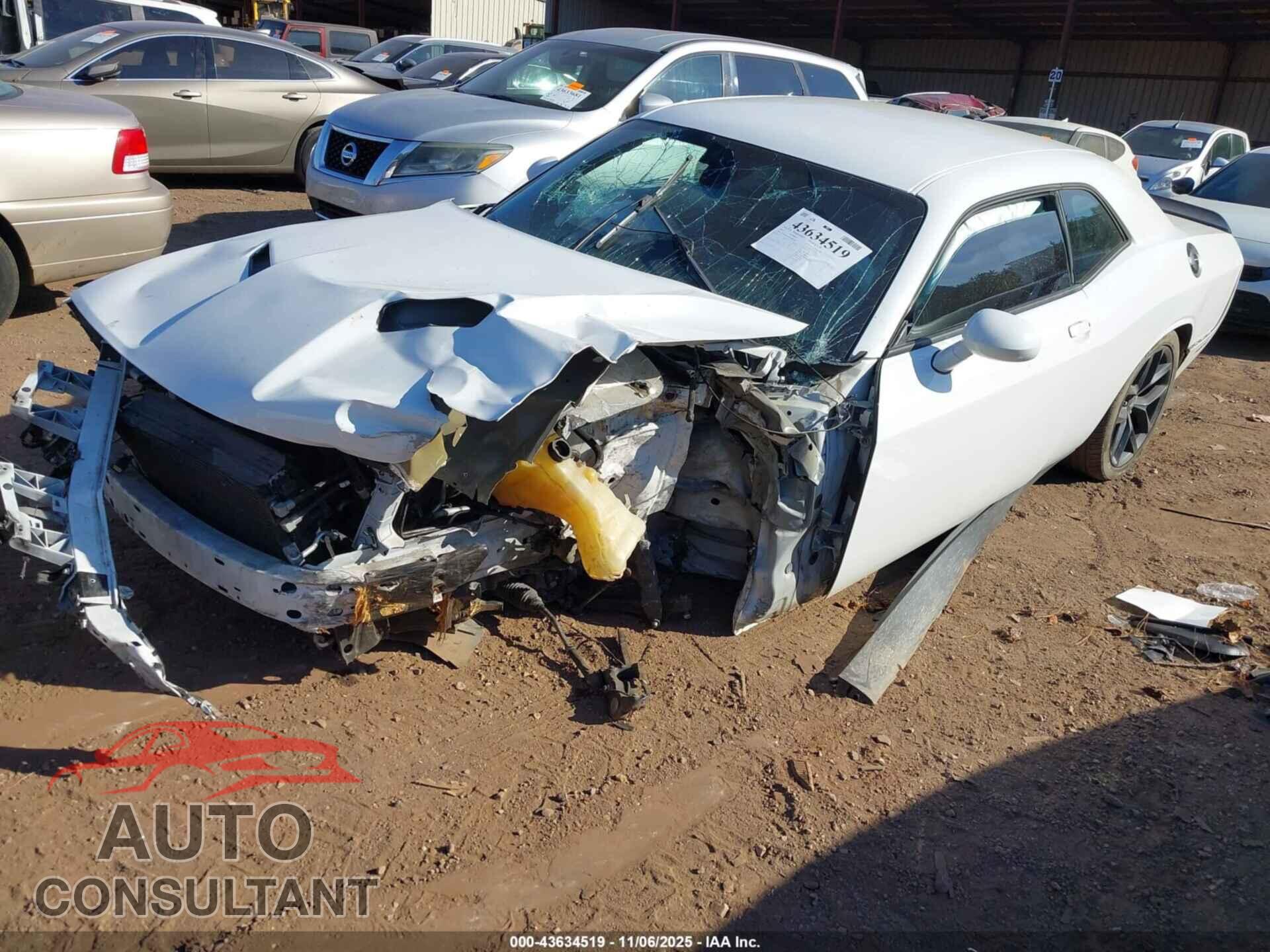DODGE CHALLENGER 2019 - 2C3CDZAG9KH666584