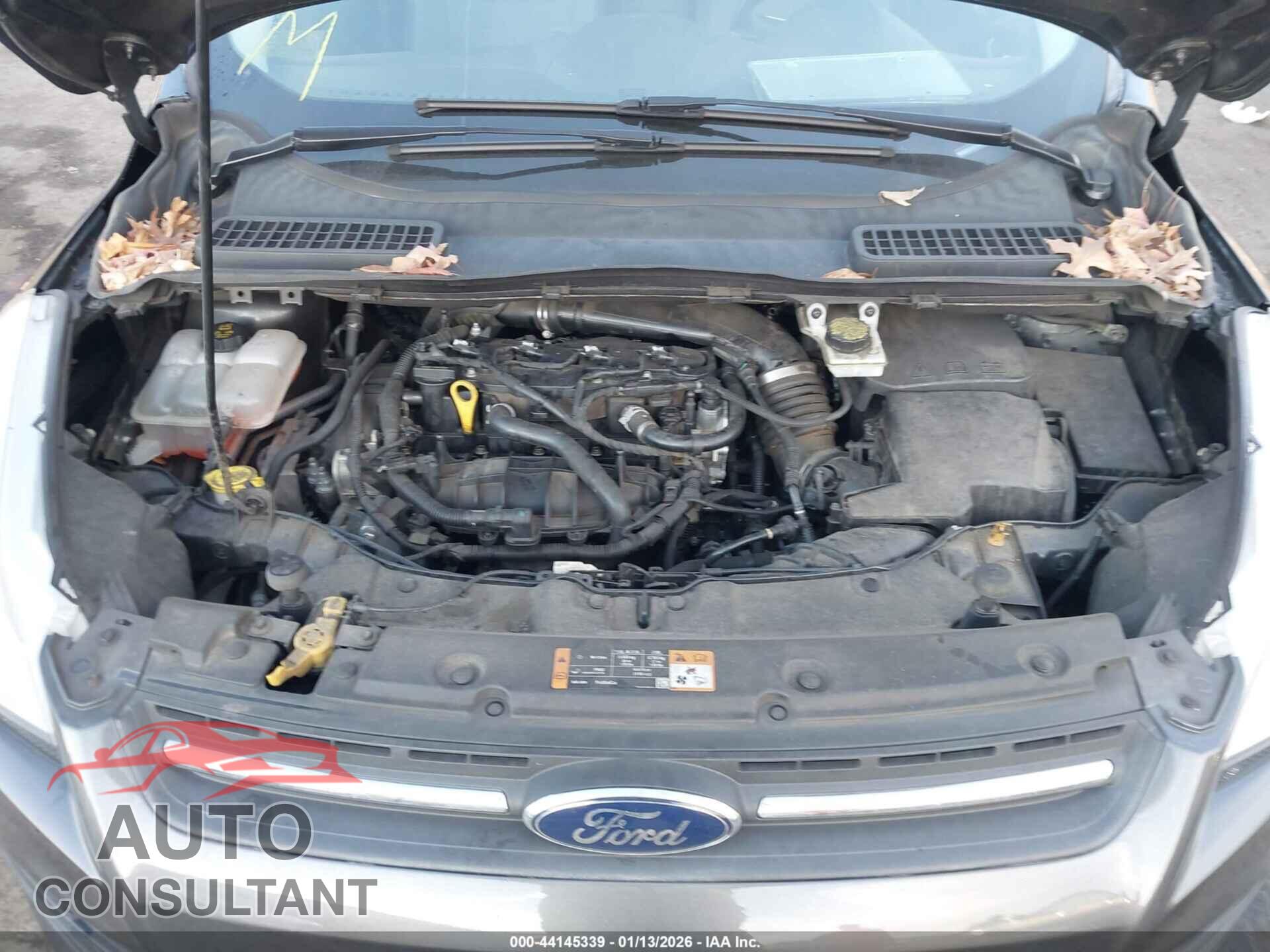 FORD ESCAPE 2016 - 1FMCU0GX1GUB53473