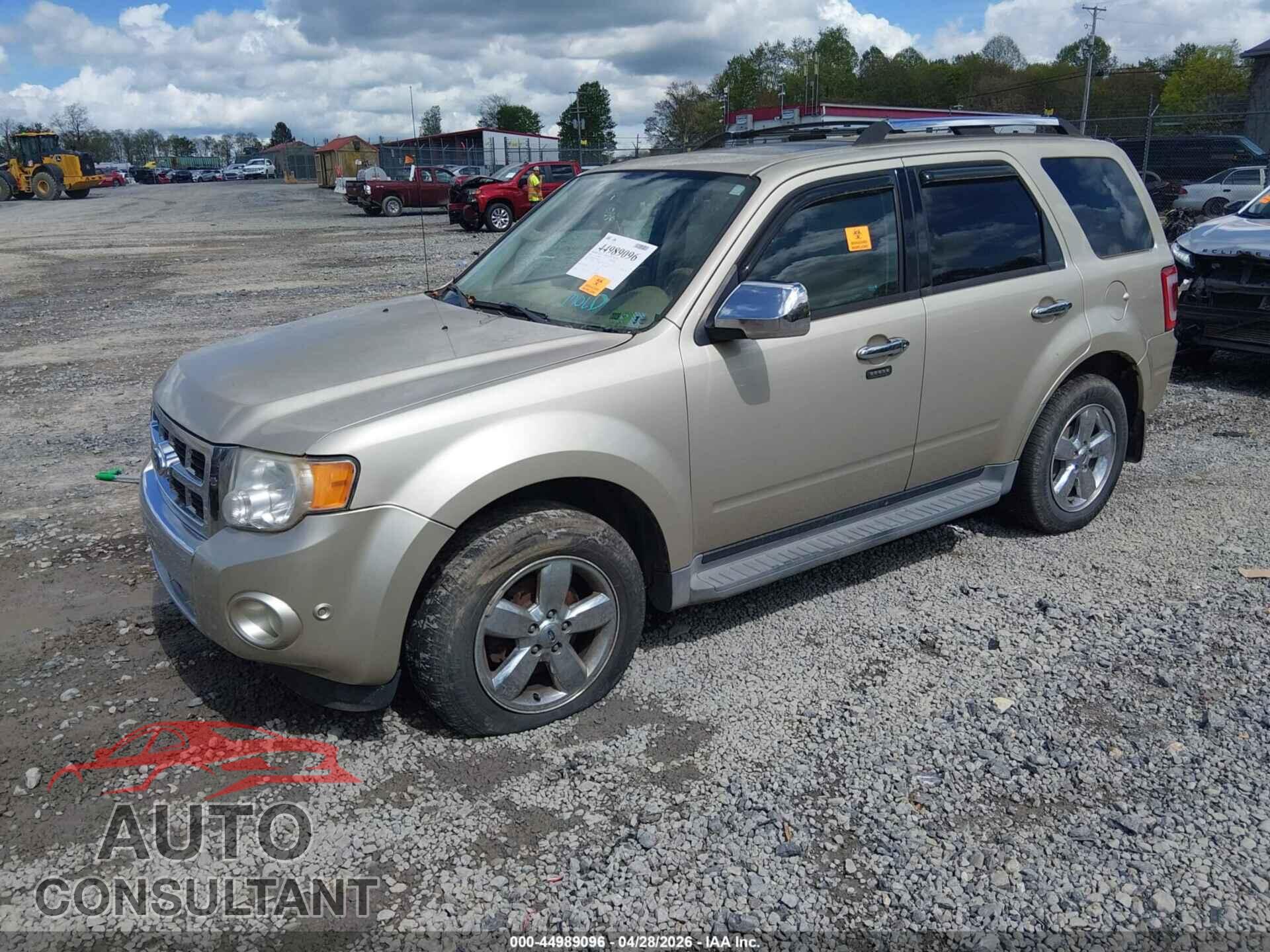 FORD ESCAPE 2011 - 1FMCU9EG3BKB02407