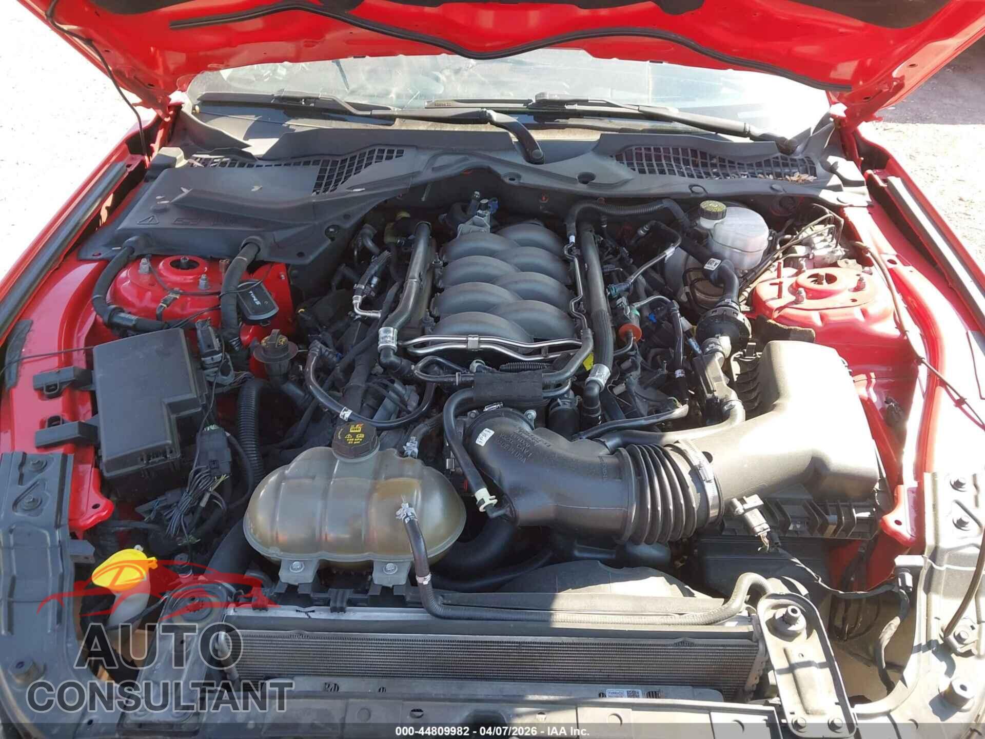 FORD MUSTANG 2019 - 1FA6P8CF1K5200126
