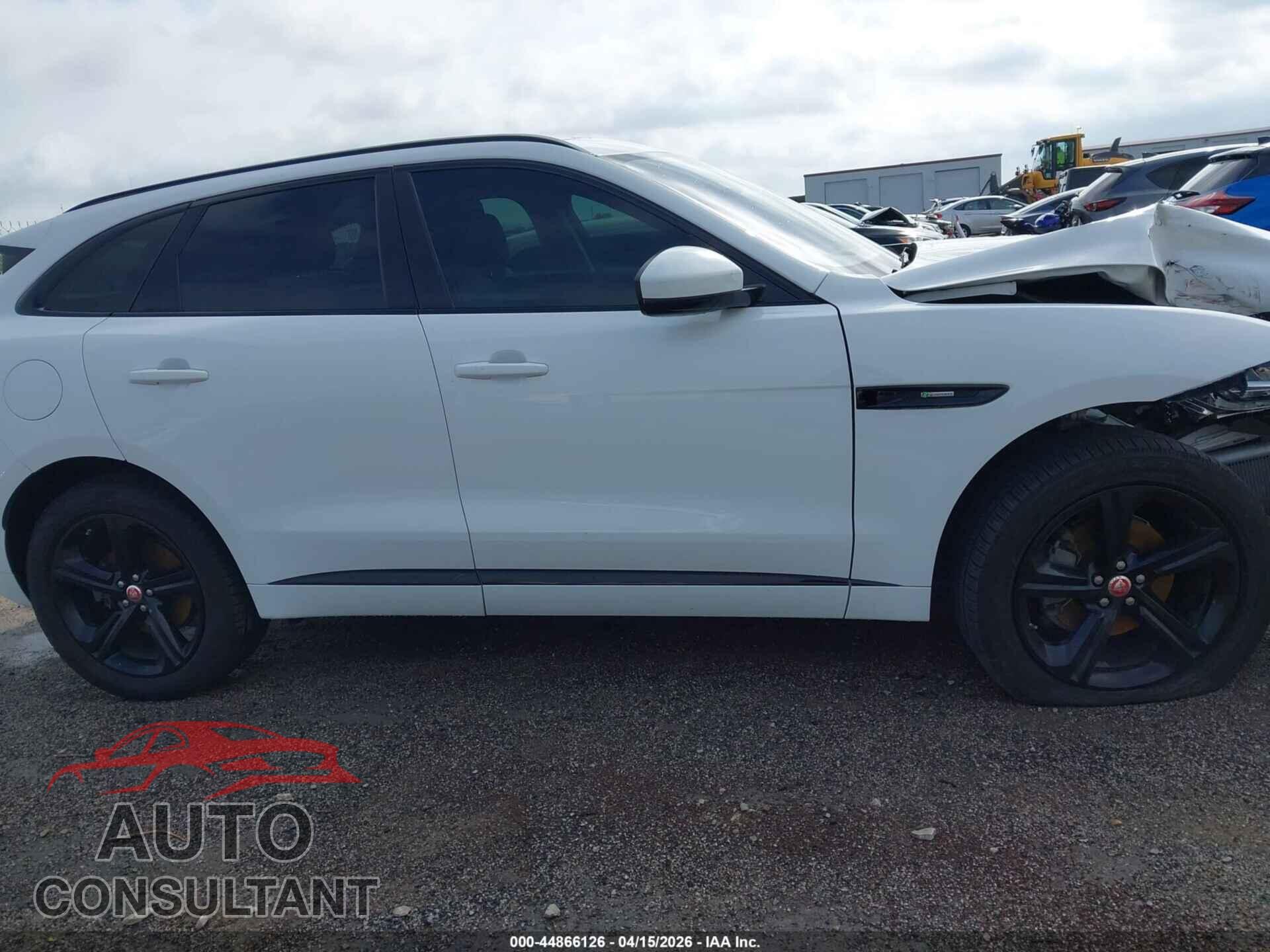 JAGUAR F-PACE 2019 - SADCL2FX0KA392306