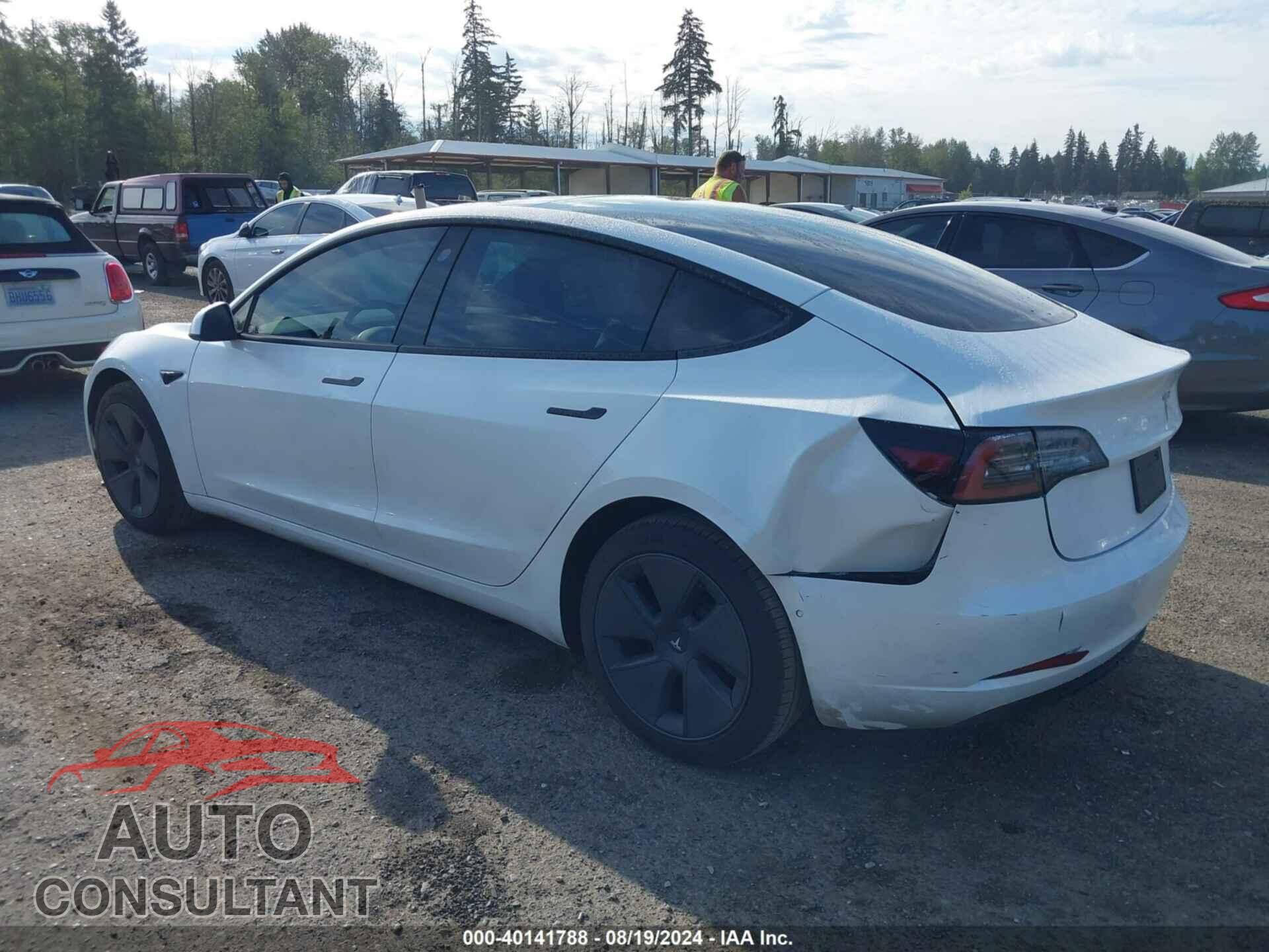 TESLA MODEL 3 2021 - 5YJ3E1EB2MF079581