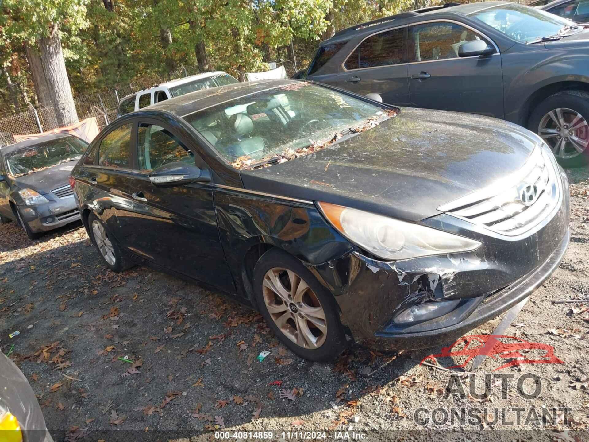 HYUNDAI SONATA 2013 - 5NPEC4AC9DH736084