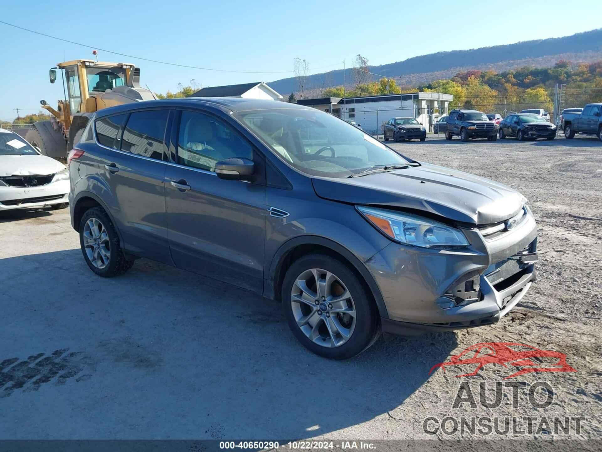 FORD ESCAPE 2013 - 1FMCU0H99DUA79344