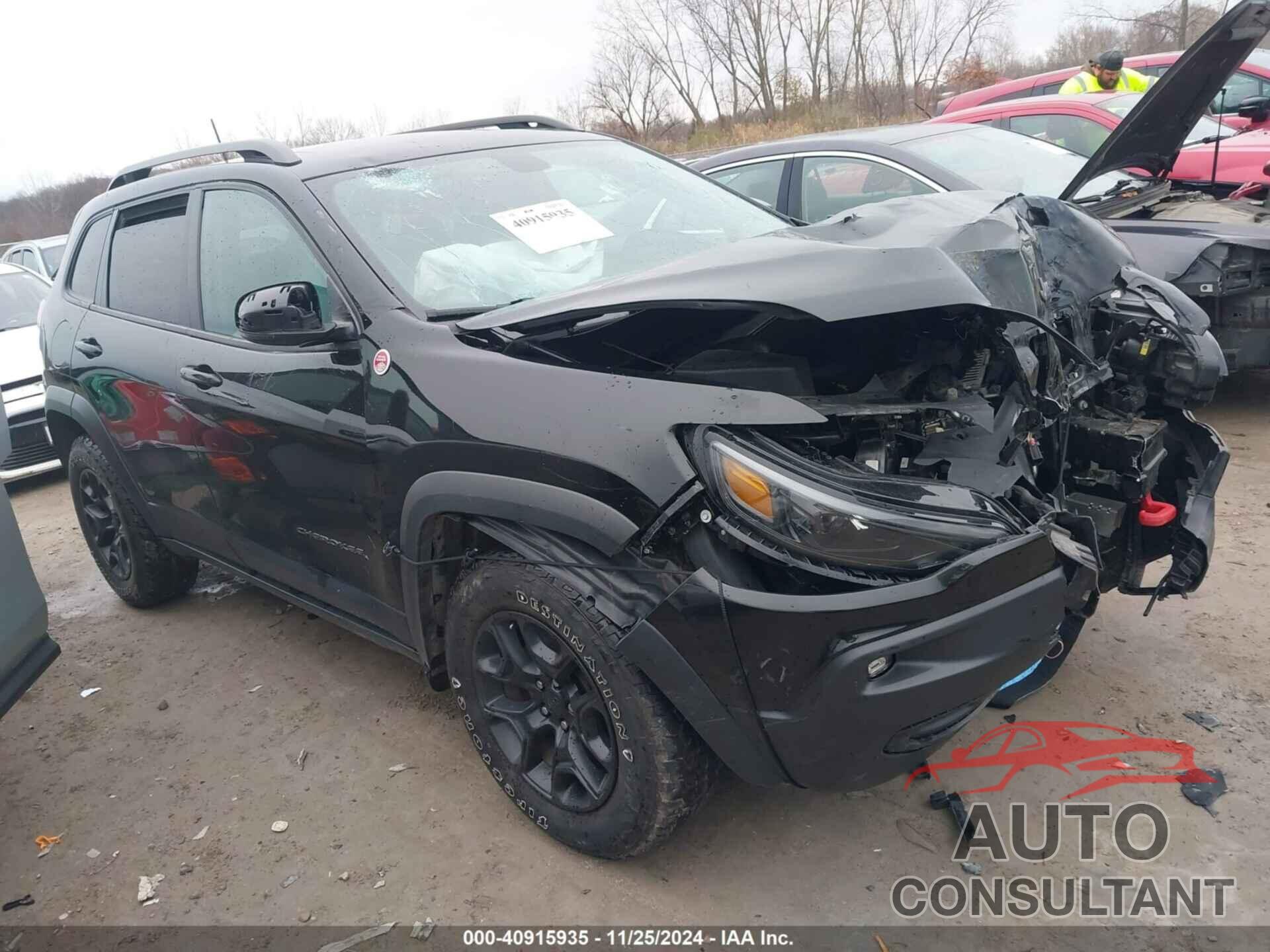 JEEP CHEROKEE 2019 - 1C4PJMBX4KD199661