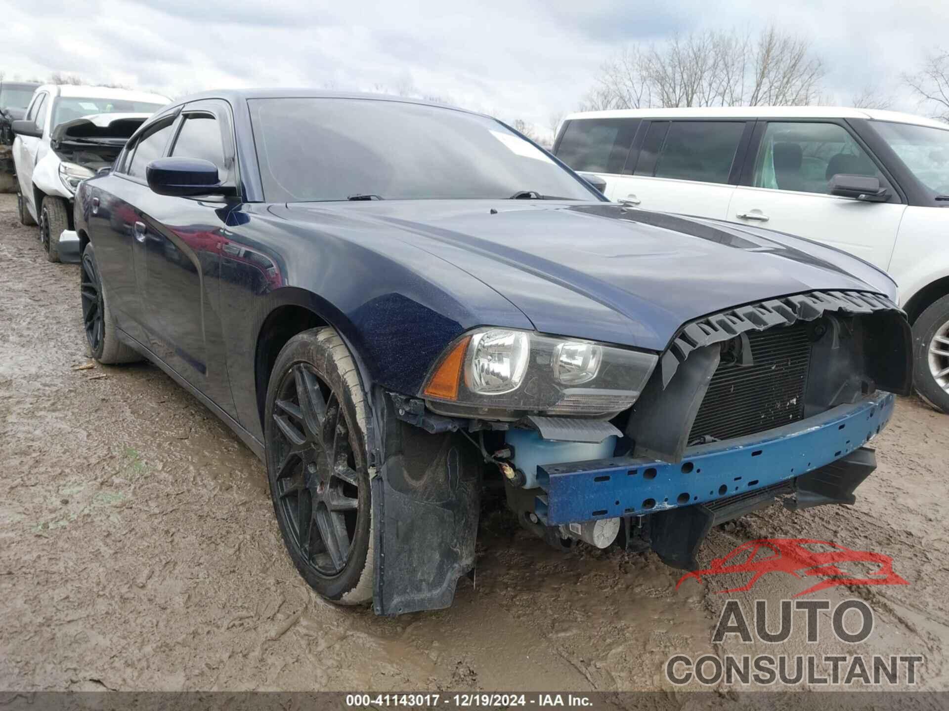 DODGE CHARGER 2014 - 2C3CDXBGXEH254441