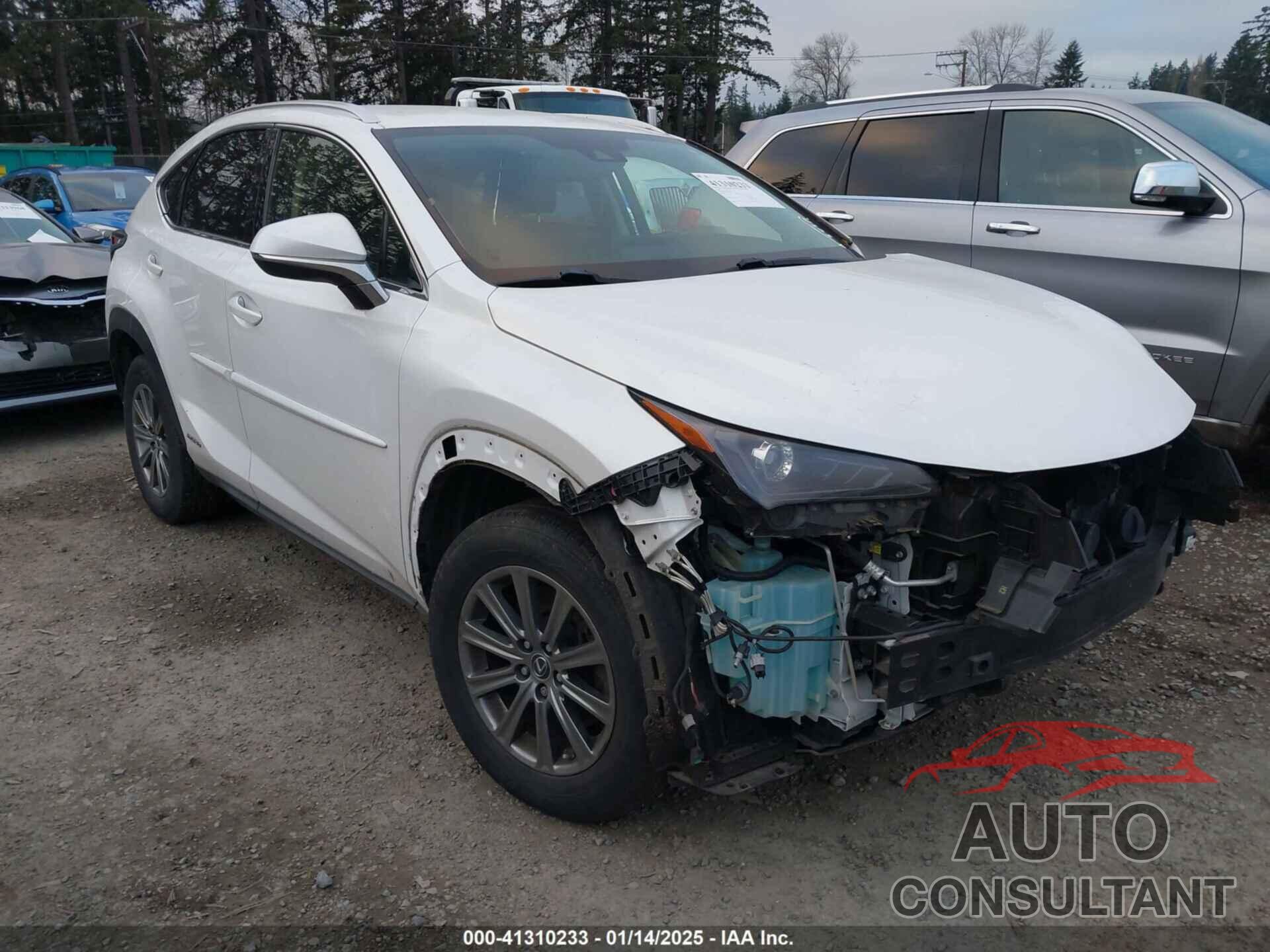 LEXUS NX 2018 - JTJBJRBZ1J2086928