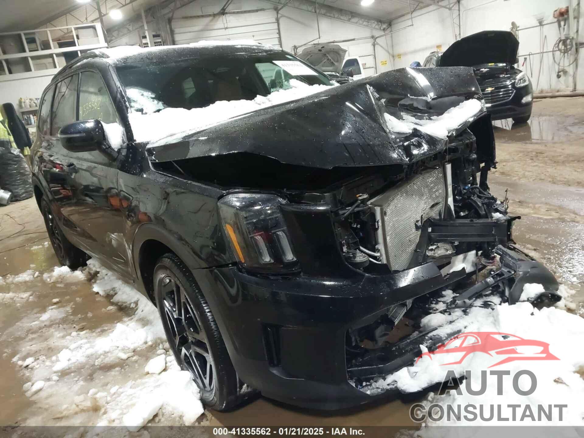 KIA TELLURIDE 2024 - 5XYP3DGC7RG518529