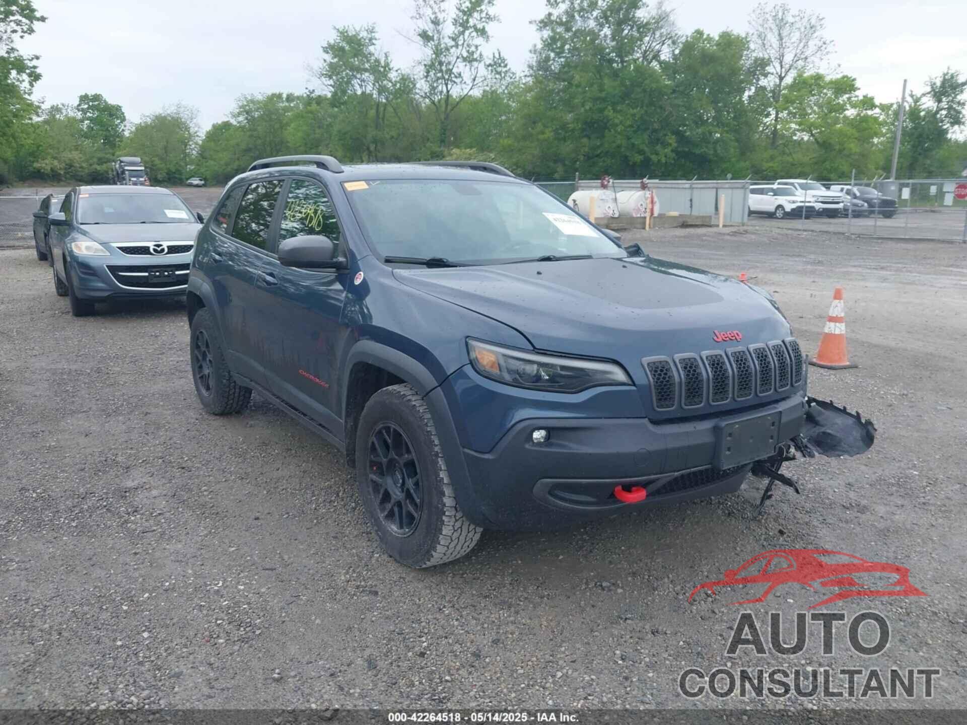 JEEP CHEROKEE 2019 - 1C4PJMBX1KD364100