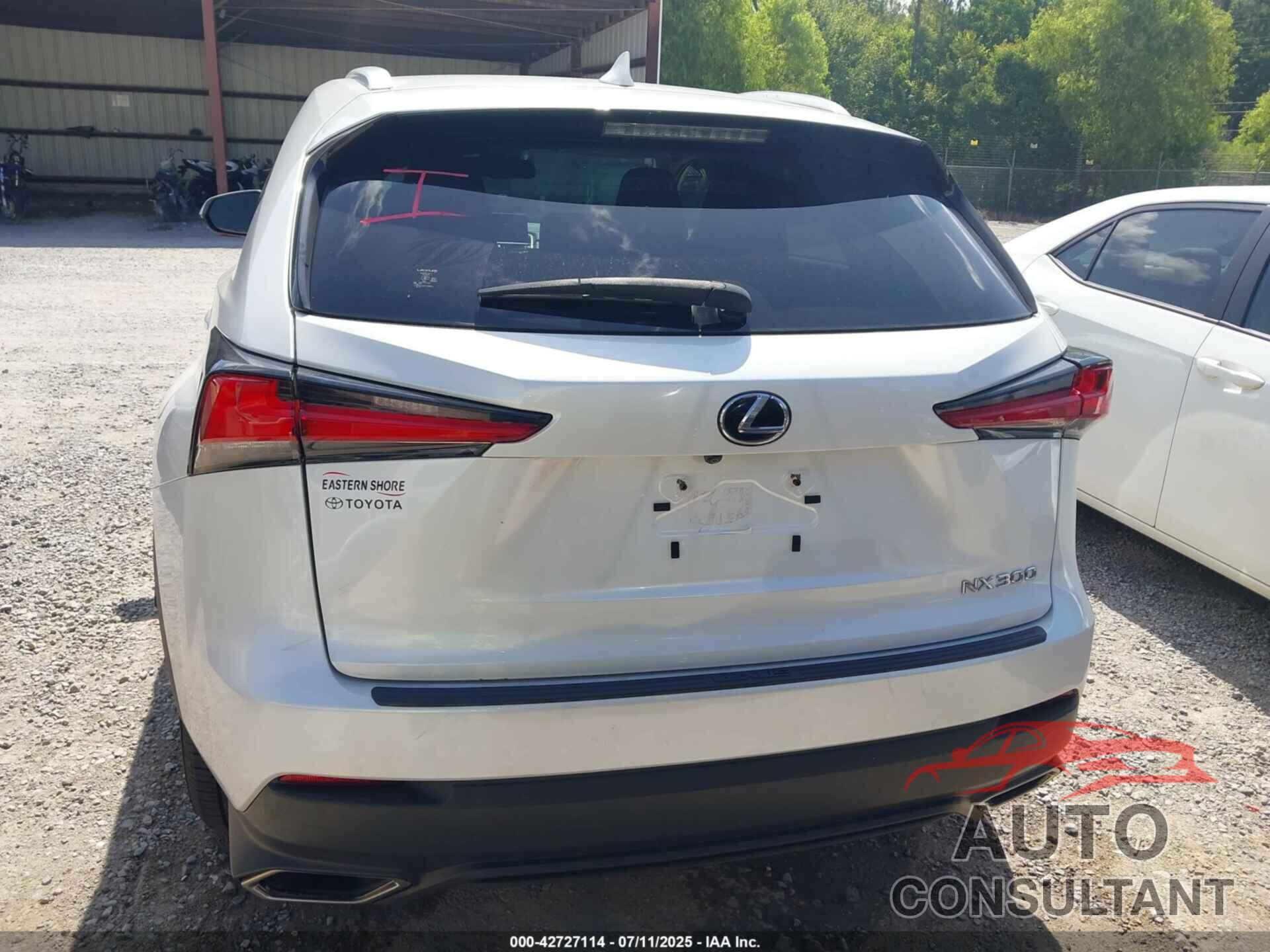 LEXUS NX 300 2019 - JTJYARBZ2K2156304