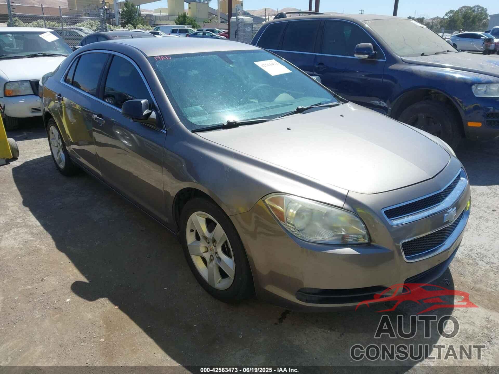 CHEVROLET MALIBU 2010 - 1G1ZB5EBXAF163304