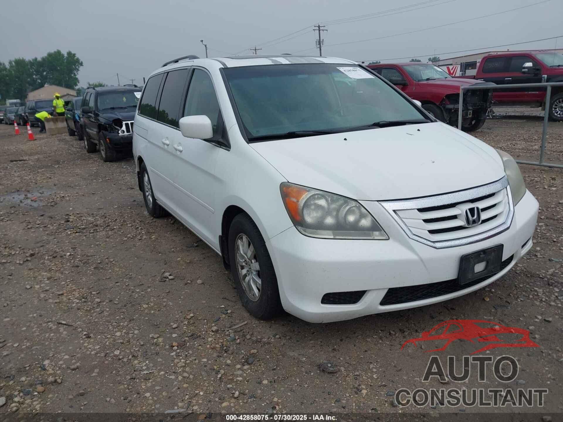 HONDA ODYSSEY 2010 - 5FNRL3H64AB110948