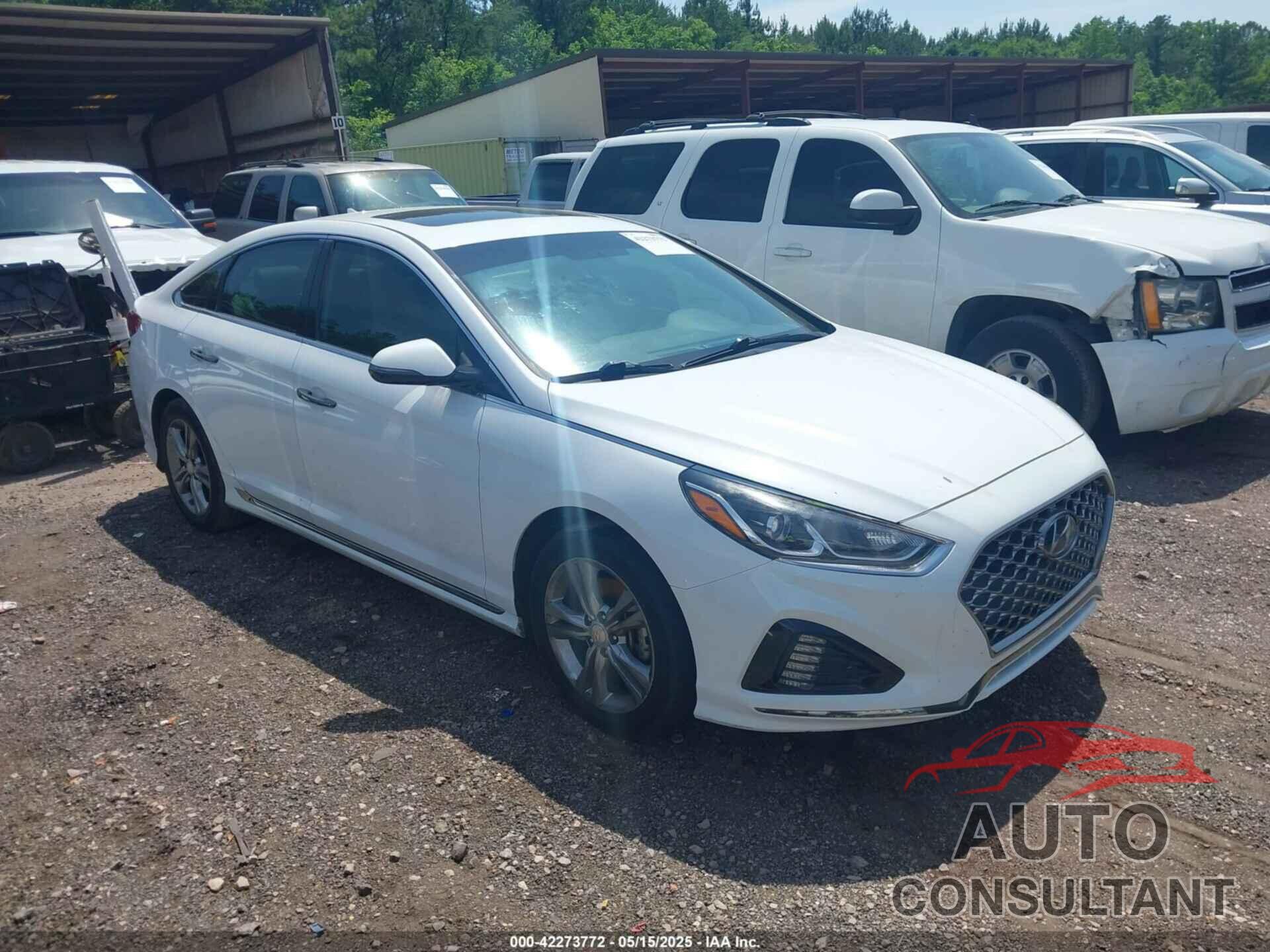 HYUNDAI SONATA 2018 - 5NPE34AF6JH689554