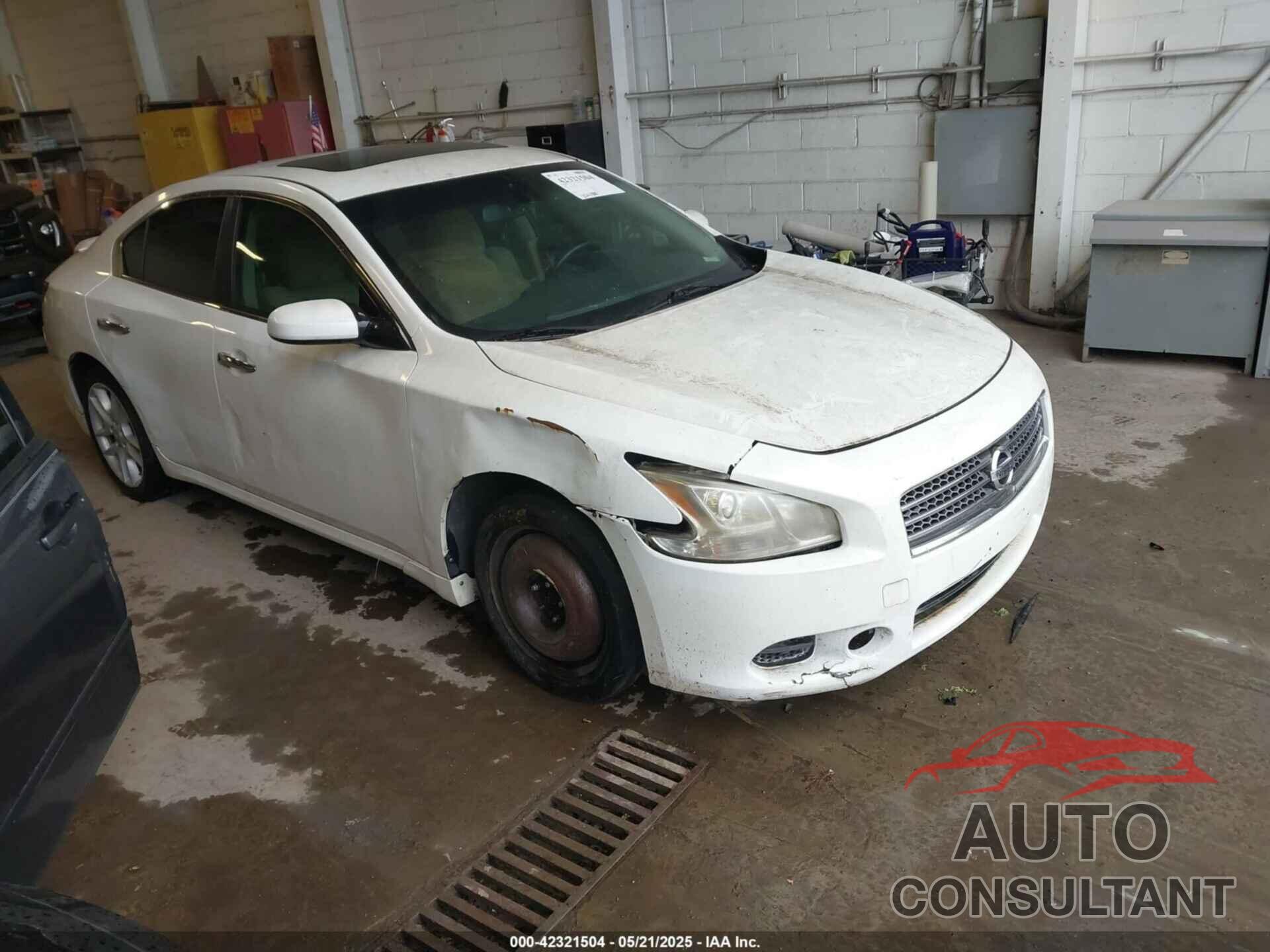 NISSAN MAXIMA 2009 - 1N4AA51E99C852809