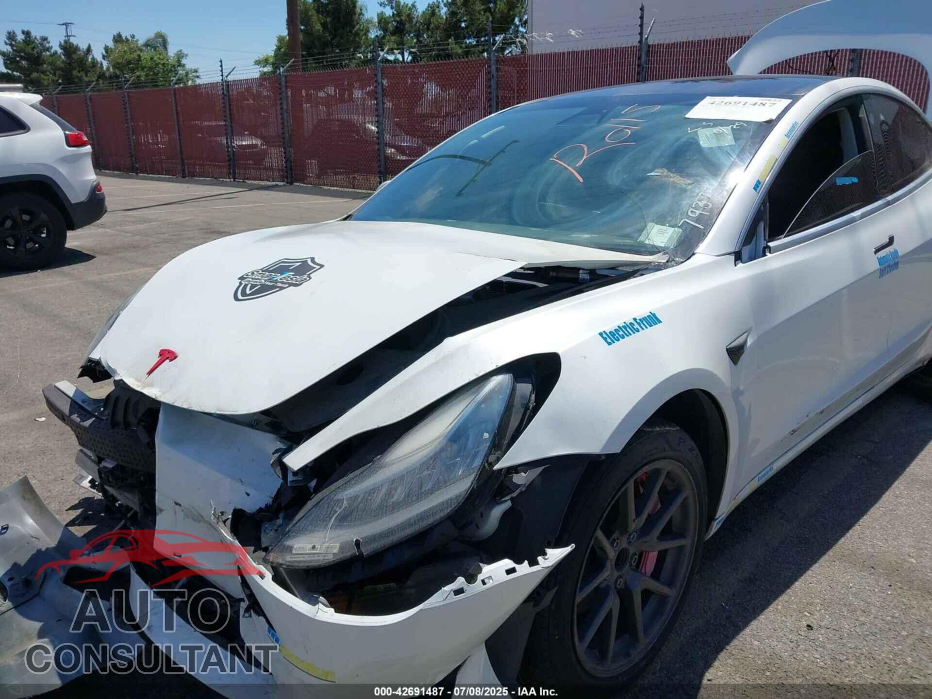TESLA MODEL 3 2019 - 5YJ3E1EA8KF309791