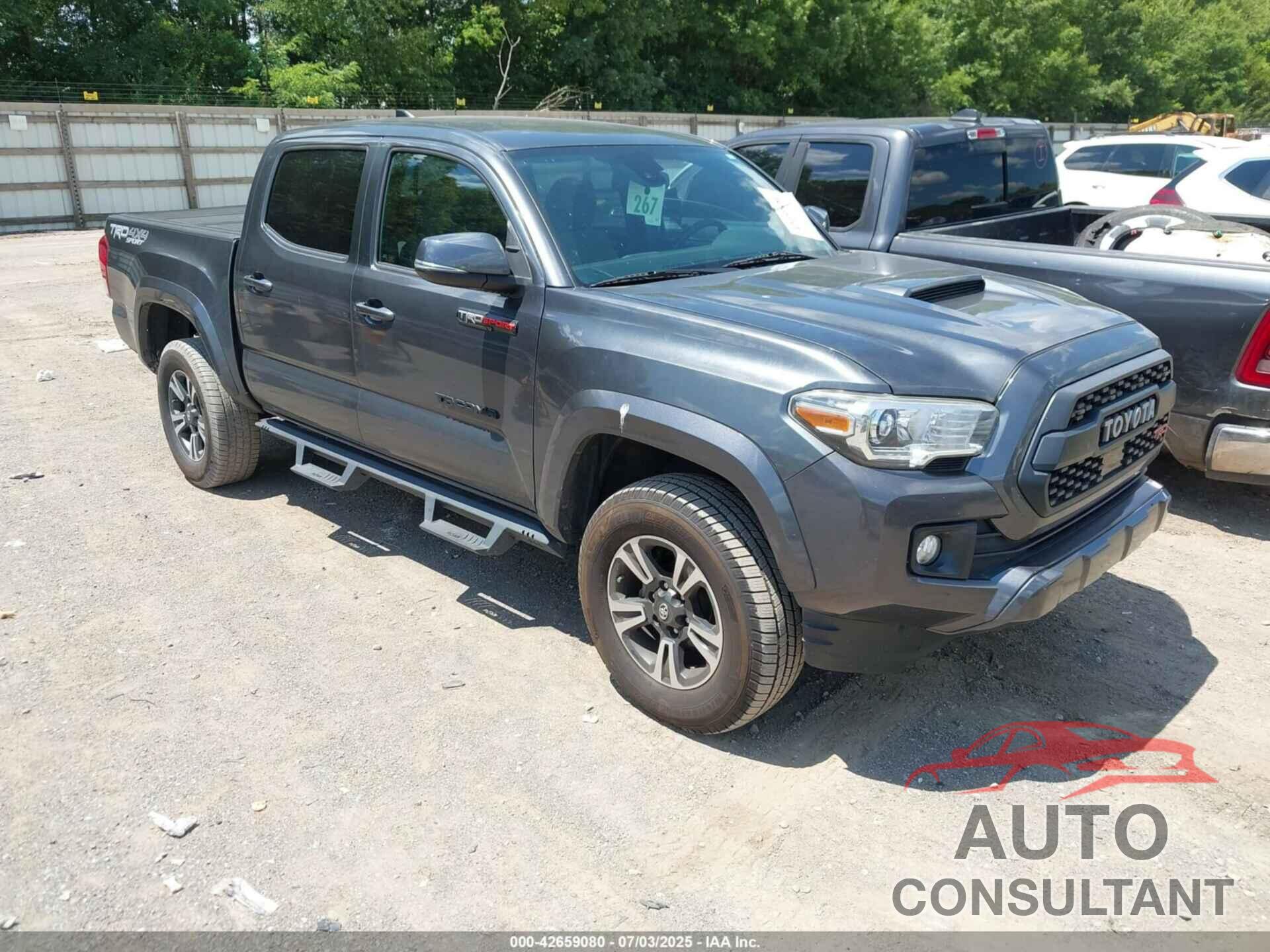 TOYOTA TACOMA 2019 - 3TMCZ5AN7KM195380