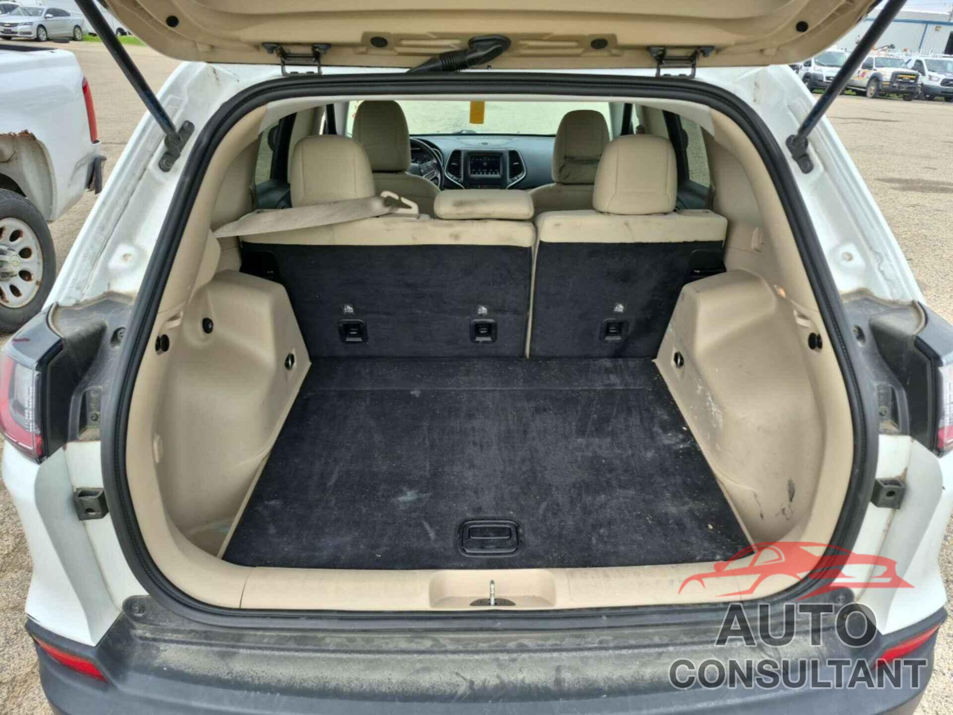 JEEP CHEROKEE 2020 - 1C4PJLCB6LD543103