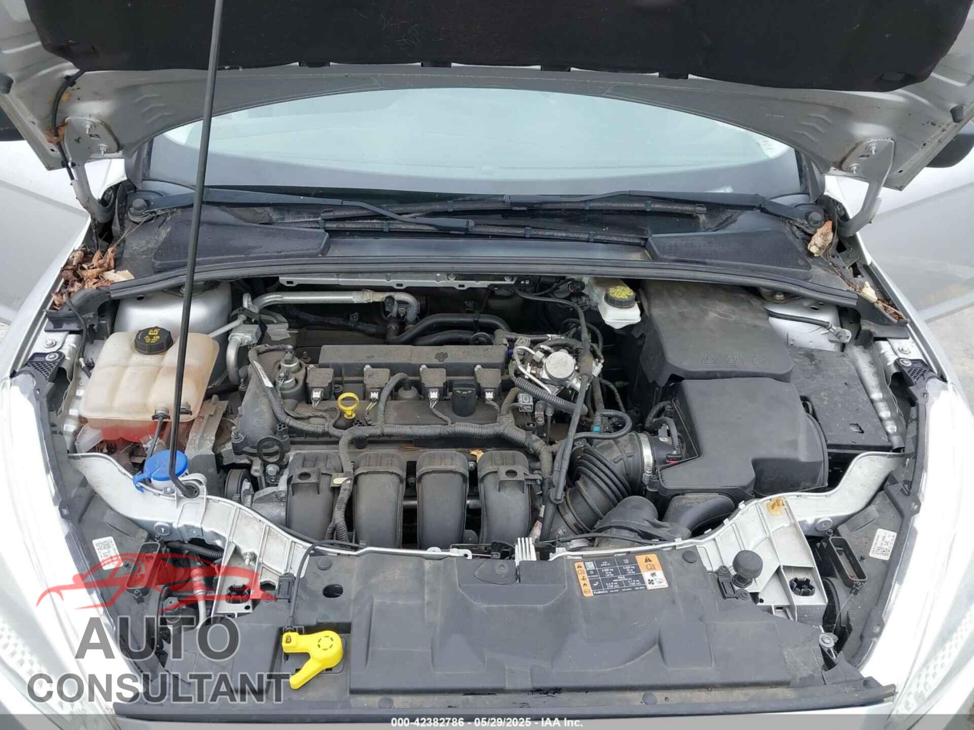 FORD FOCUS 2017 - 1FADP3E21HL336460