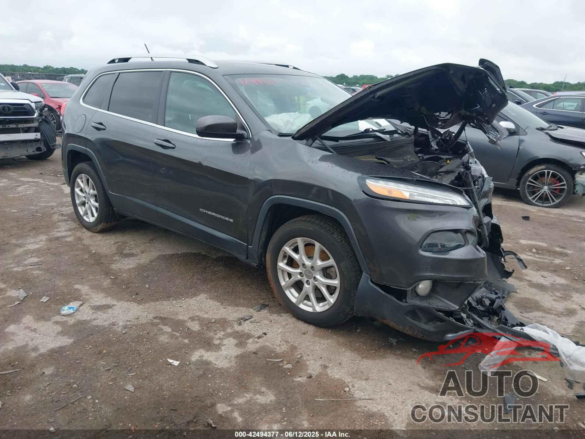 JEEP CHEROKEE 2016 - 1C4PJLCBXGW206587
