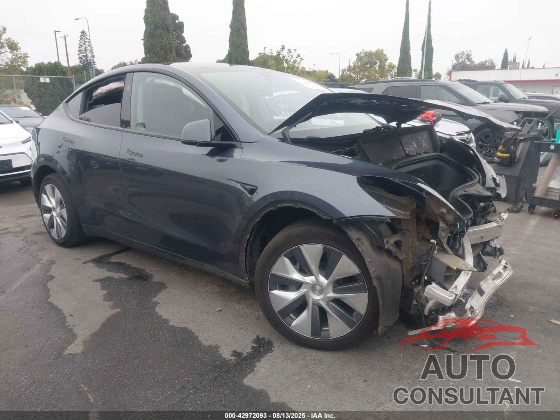 TESLA MODEL Y 2023 - 7SAYGDEE8PF853318