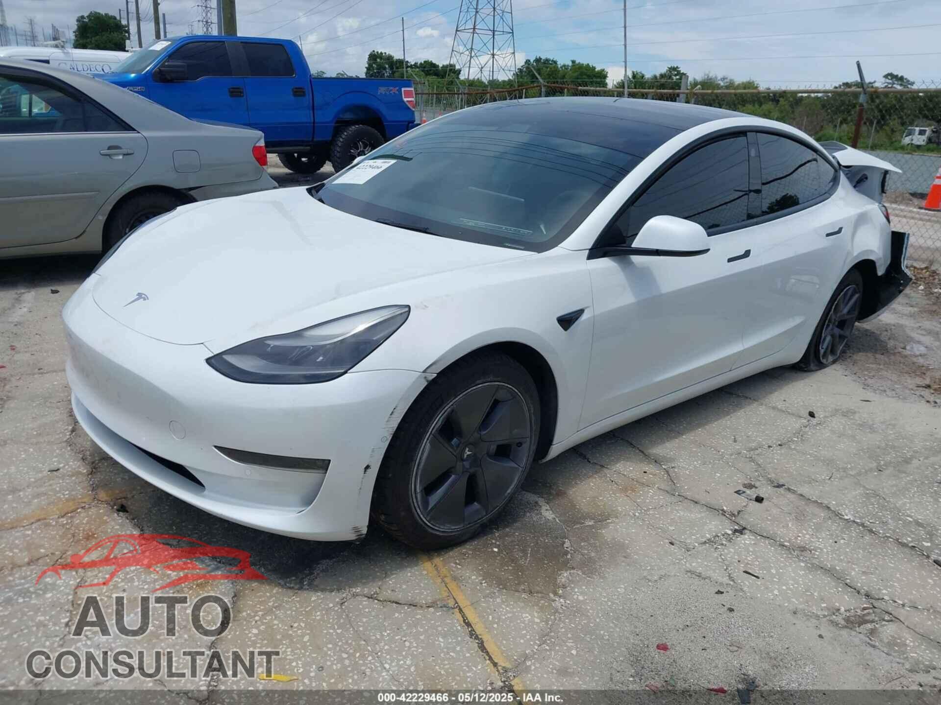 TESLA MODEL 3 2021 - 5YJ3E1EA5MF099704
