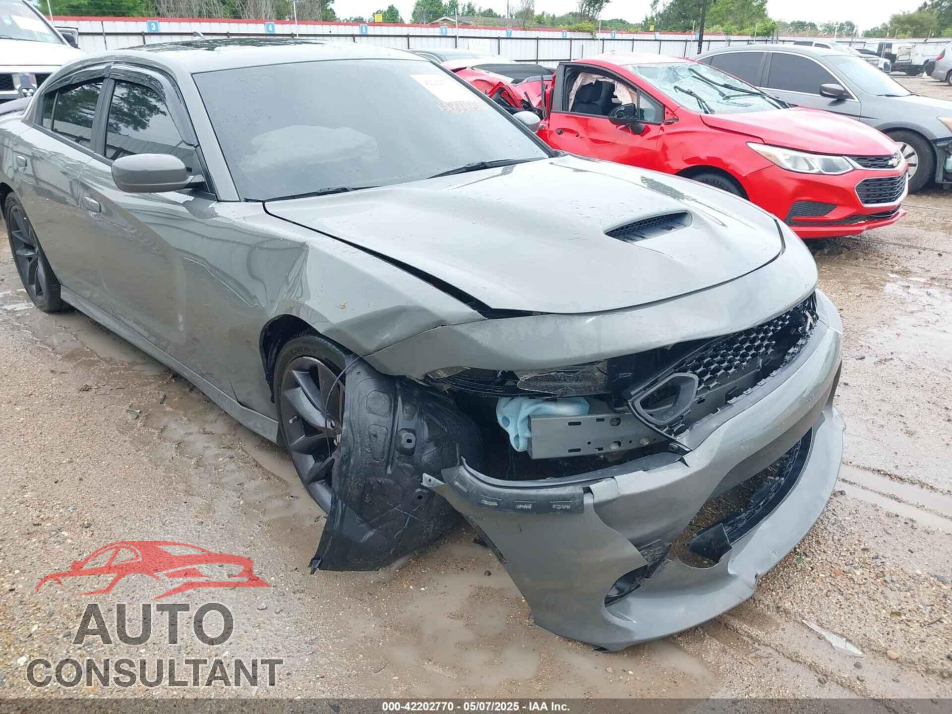 DODGE CHARGER 2019 - 2C3CDXGJ4KH647044