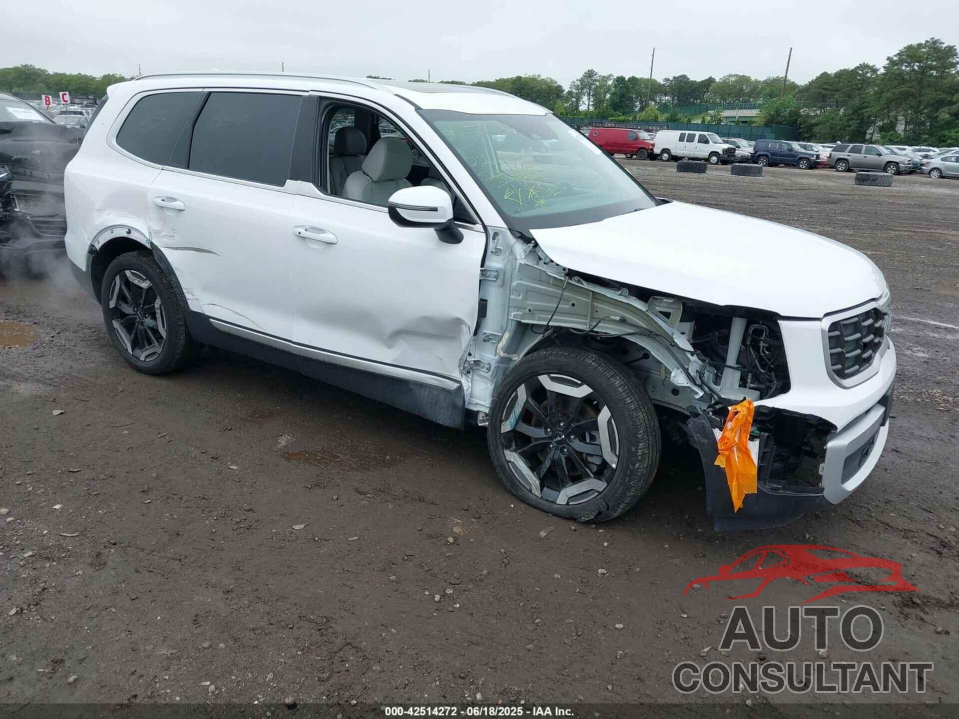 KIA TELLURIDE 2024 - 5XYP6DGC8RG535265