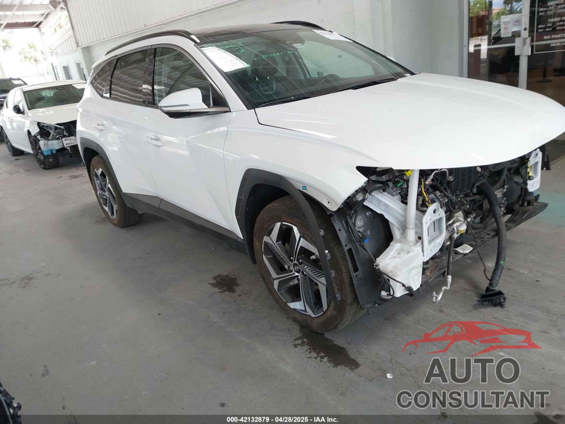 HYUNDAI TUCSON 2024 - 5NMJE3DE3RH398587