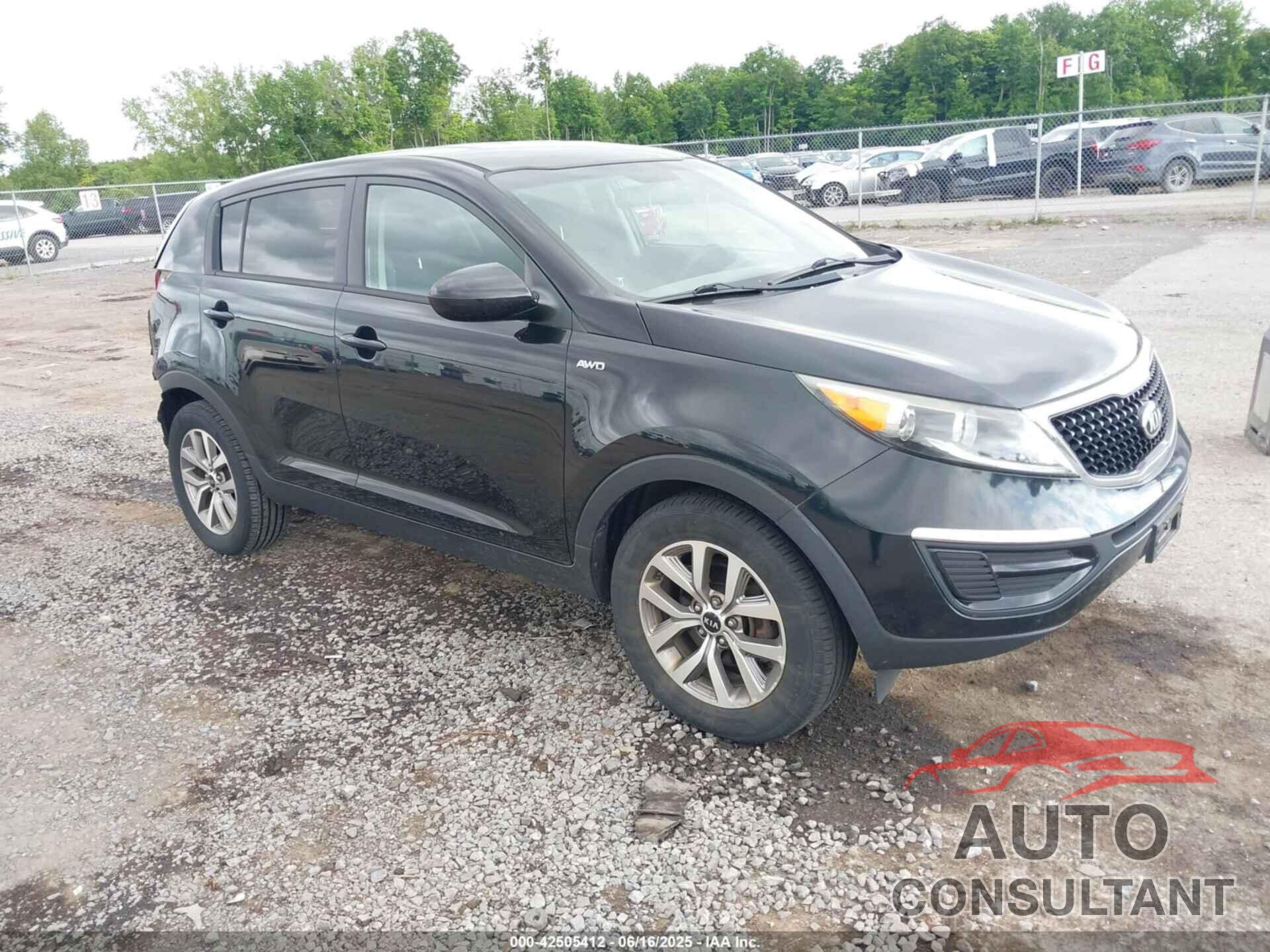 KIA SPORTAGE 2016 - KNDPBCAC9G7863206