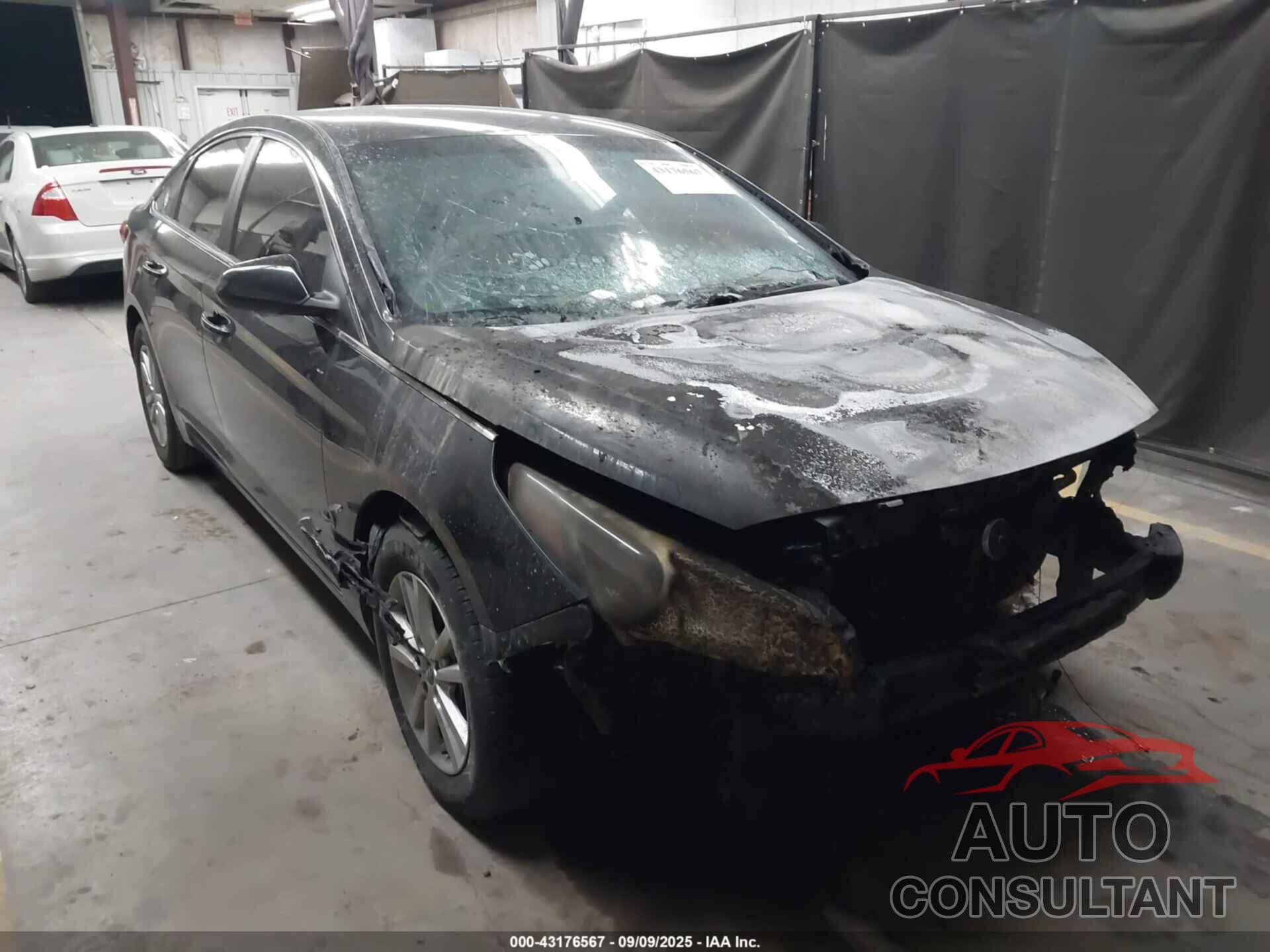 HYUNDAI SONATA 2017 - 5NPE24AF6HH596000