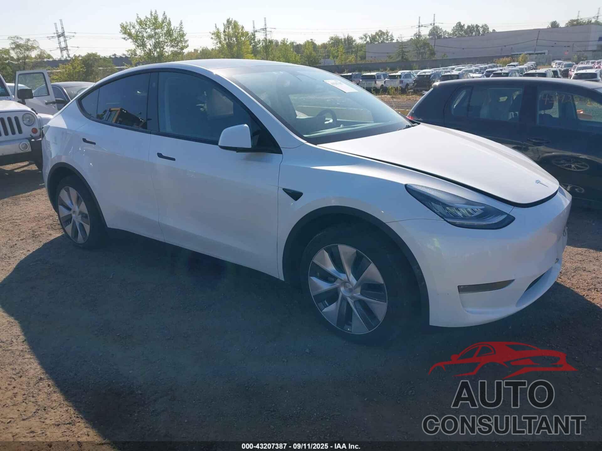 TESLA MODEL Y 2023 - 7SAYGDEE8PA105892