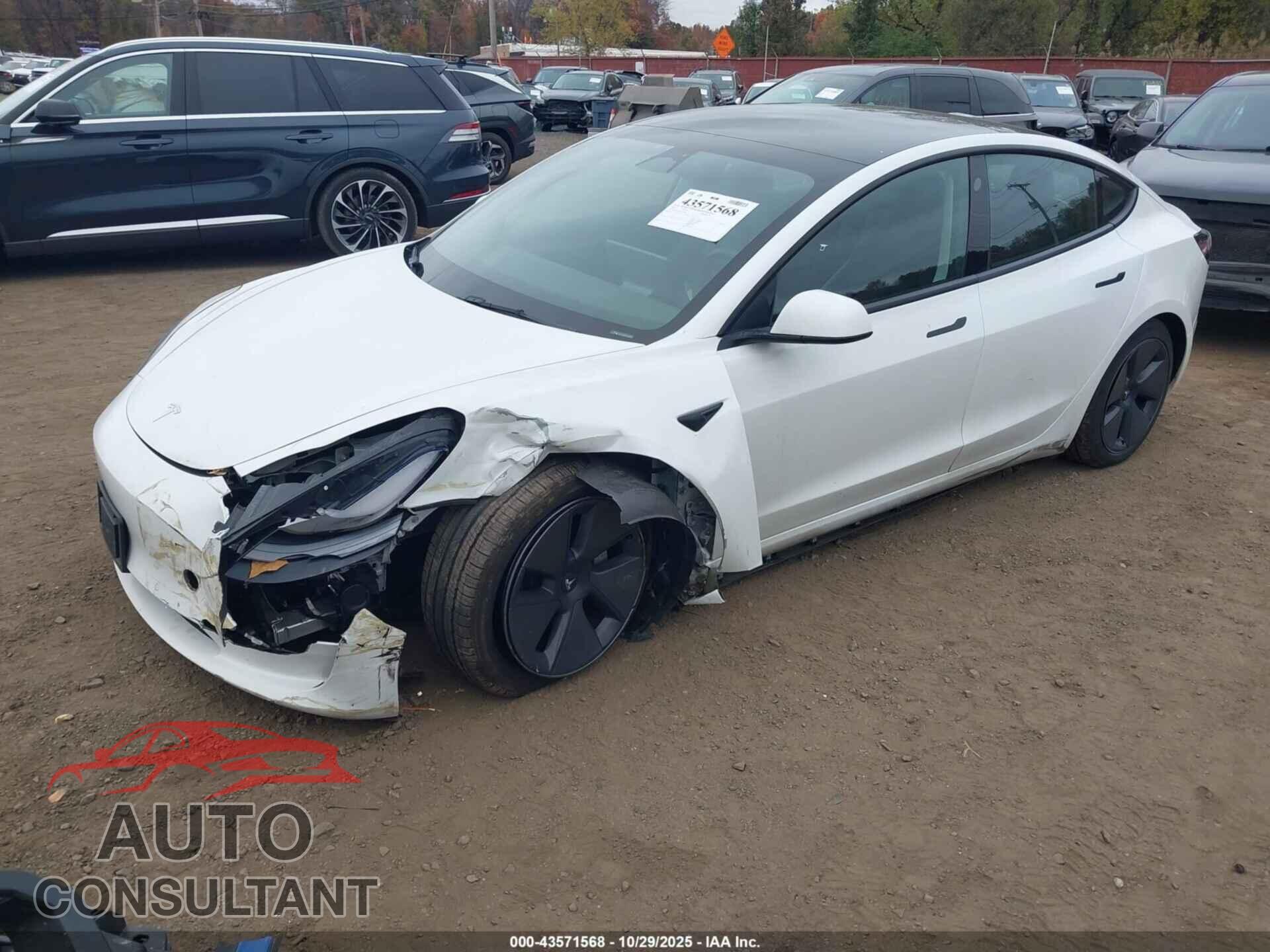 TESLA MODEL 3 2022 - 5YJ3E1EB3NF194854