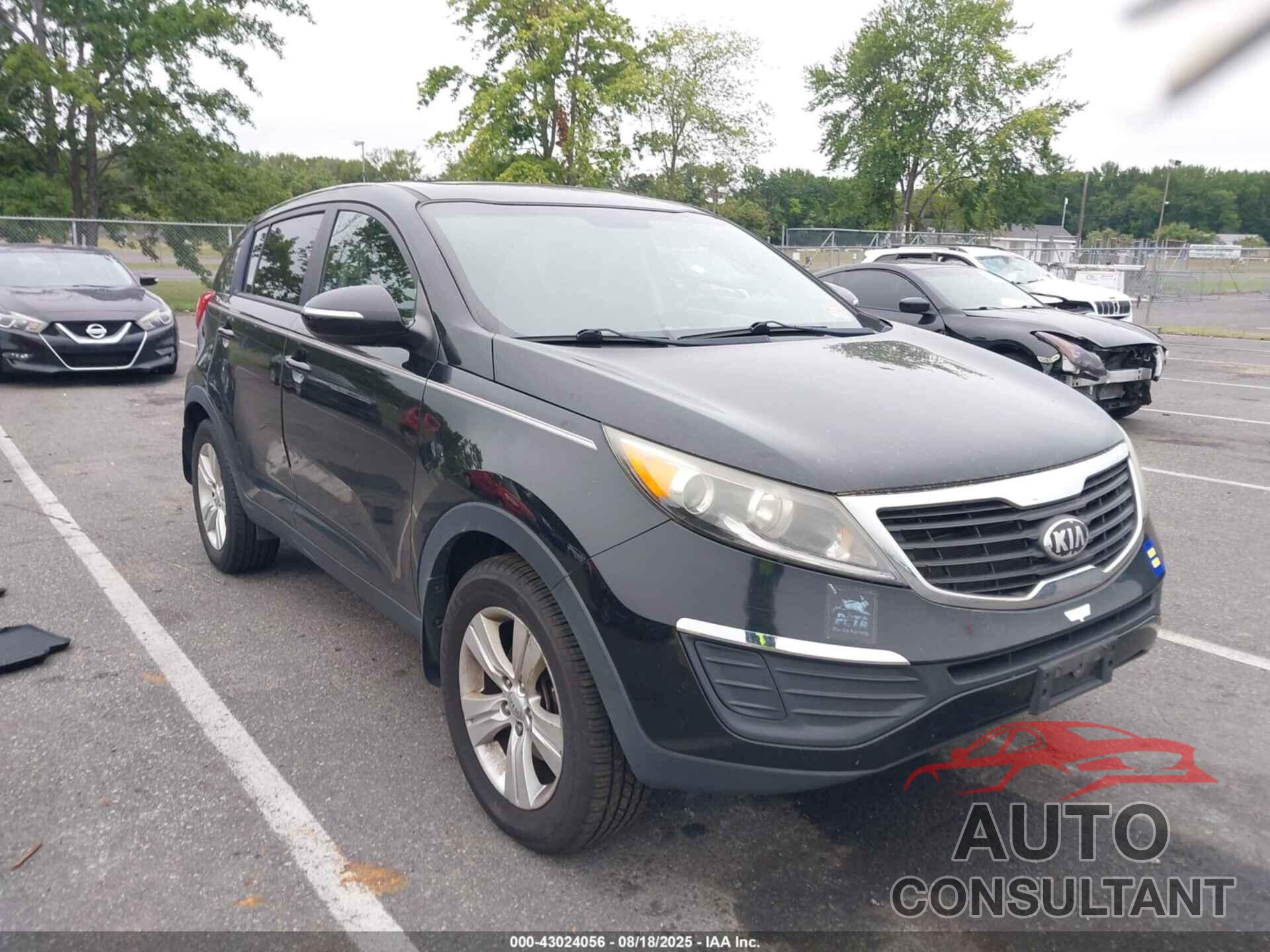 KIA SPORTAGE 2013 - KNDPB3A27D7505766