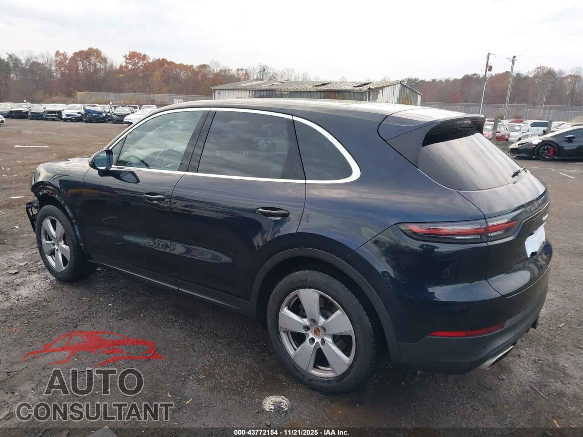 PORSCHE CAYENNE 2020 - WP1AA2AY4LDA06672
