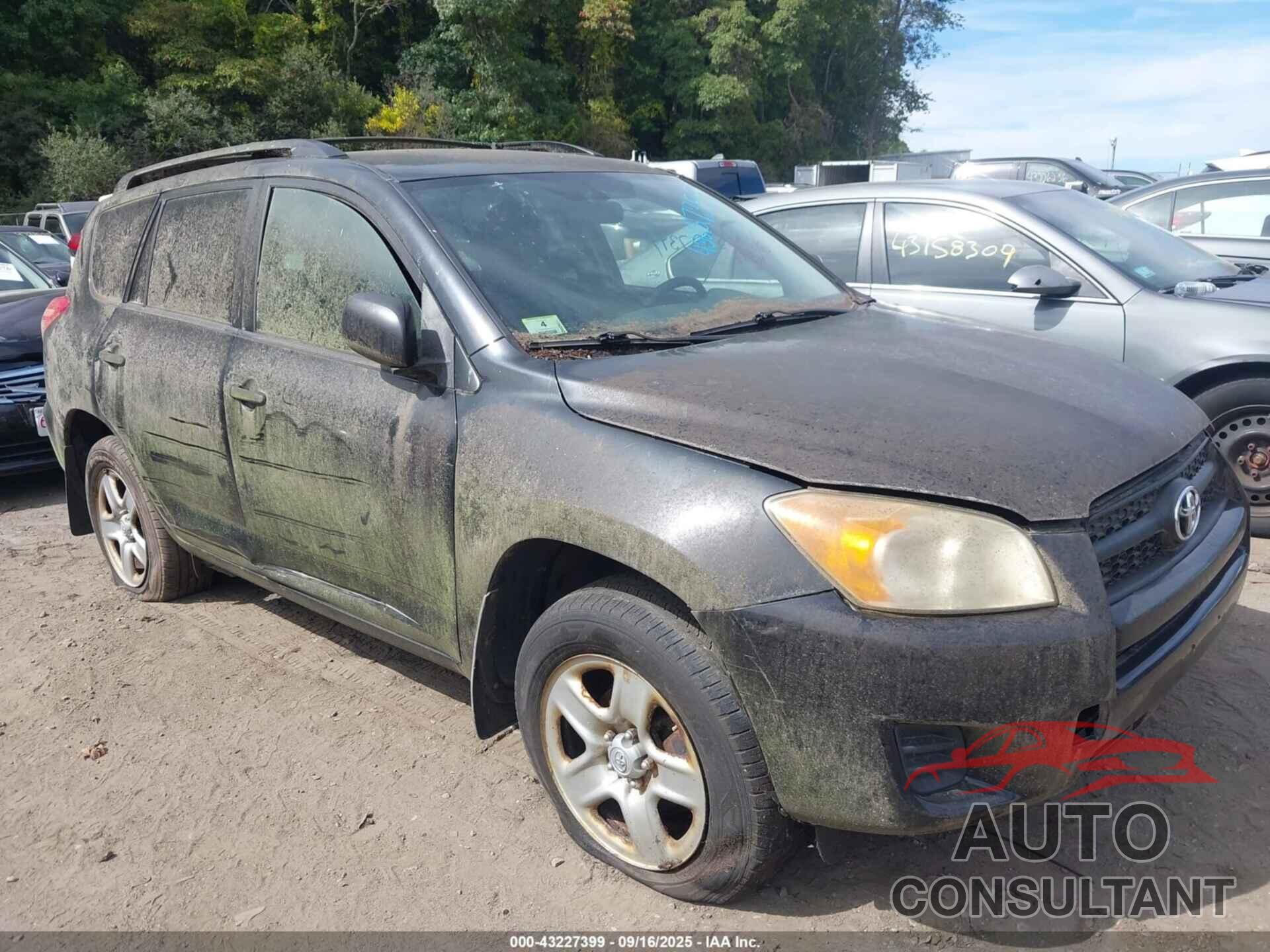 TOYOTA RAV4 2009 - JTMBF33V095004422
