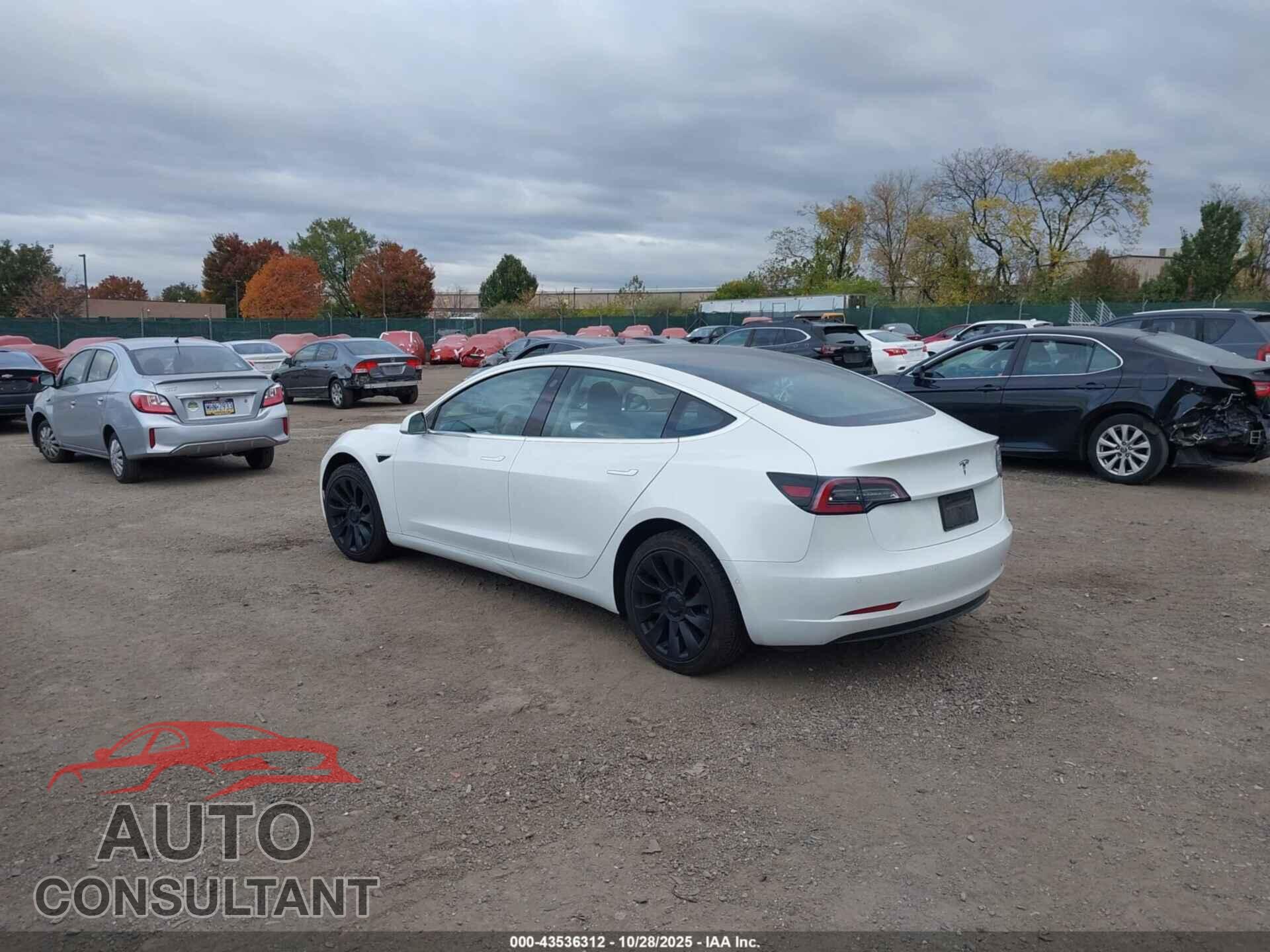 TESLA MODEL 3 2020 - 5YJ3E1EA8LF505067