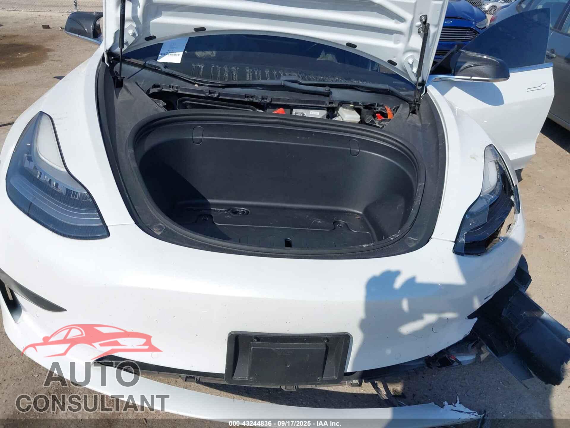 TESLA MODEL 3 2019 - 5YJ3E1EB3KF437686