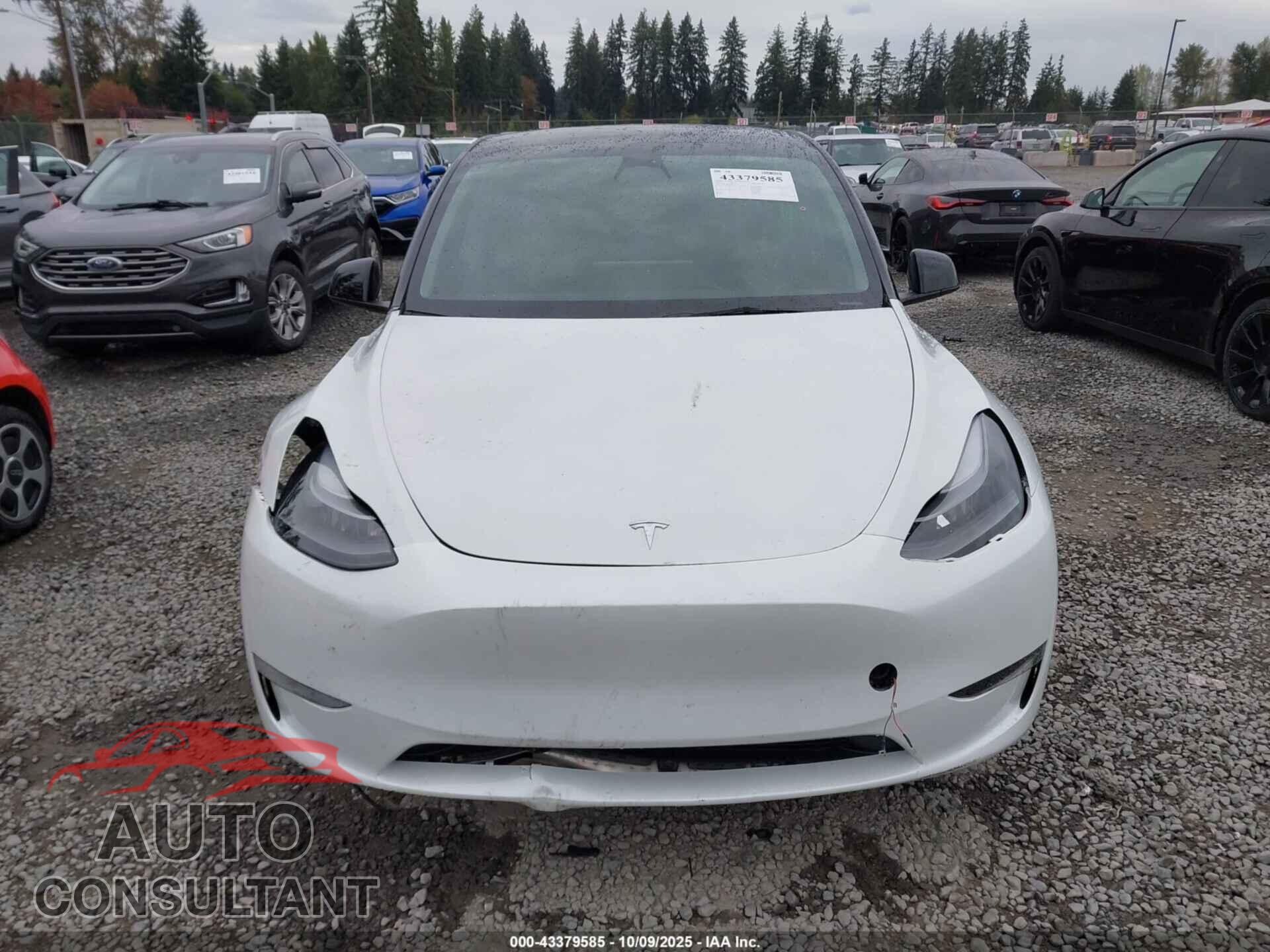 TESLA MODEL Y 2023 - 7SAYGDEE5PF646577