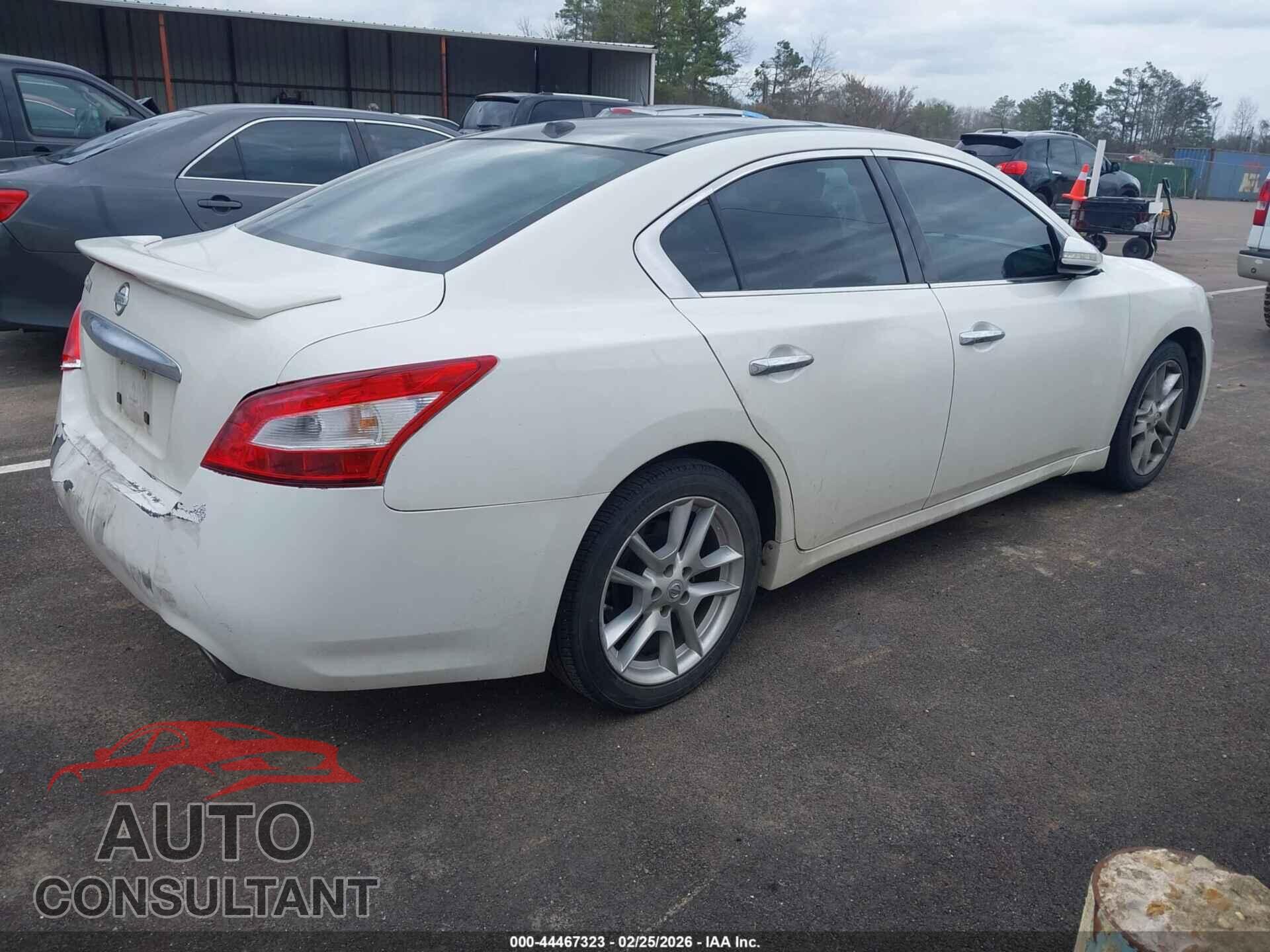 NISSAN MAXIMA 2011 - 1N4AA5AP1BC840970