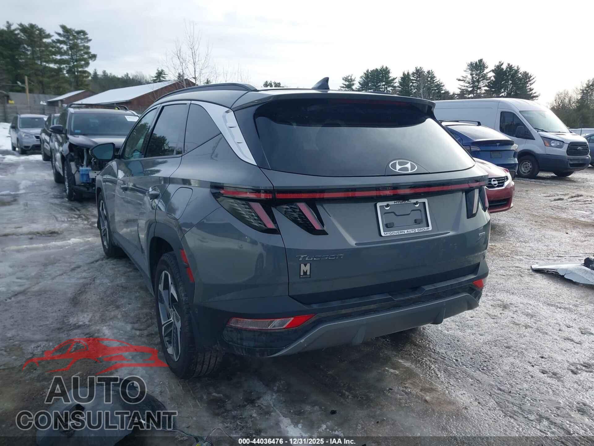 HYUNDAI TUCSON 2024 - 5NMJECDE8RH395491