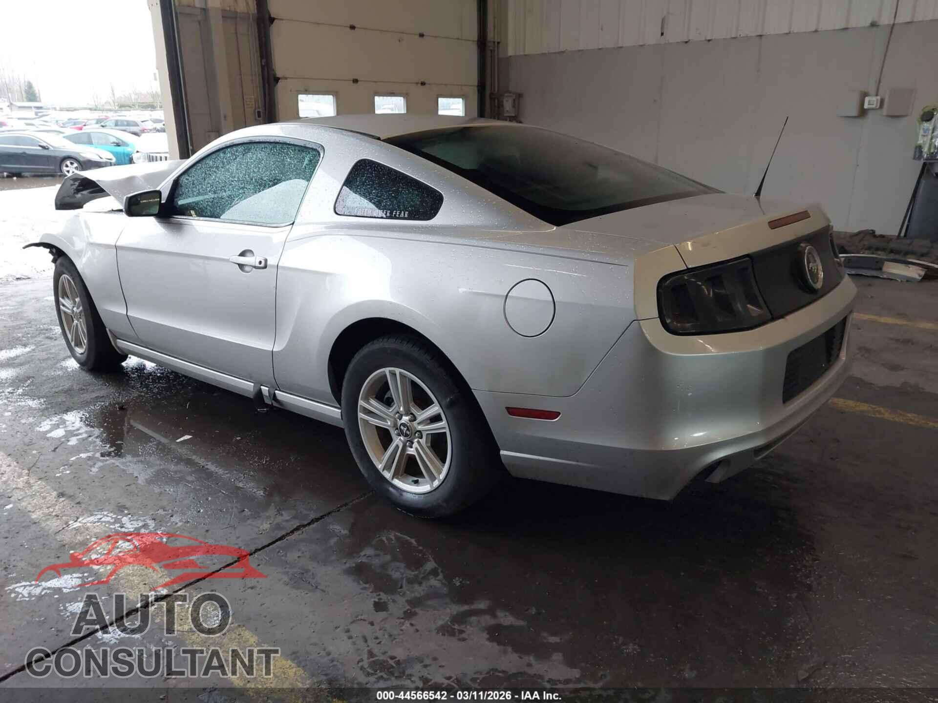 FORD MUSTANG 2014 - 1ZVBP8AM5E5212954