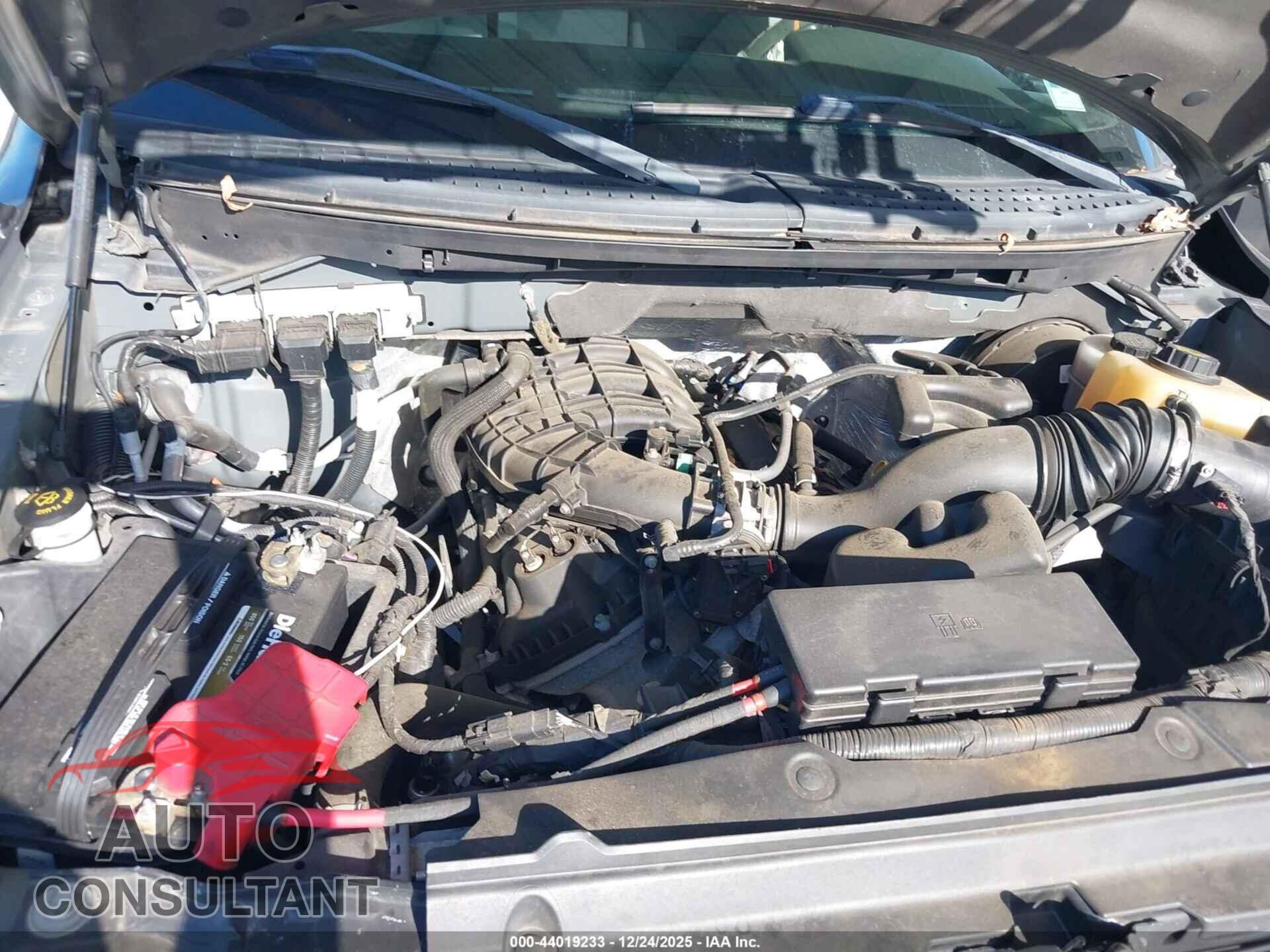 FORD F-150 2013 - 1FTMF1CM5DFB16608